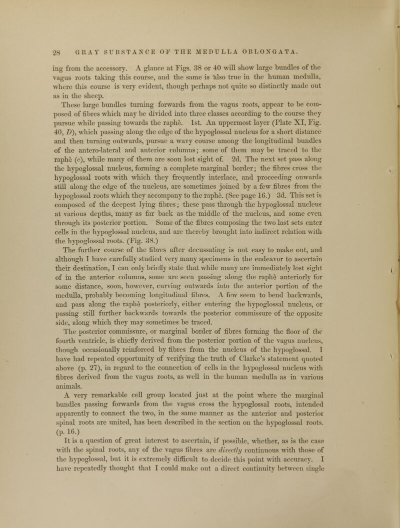 ing from the accessory. A glance at Figs. 38 or 40 will show large bundles of tlio vagus roots taking this course, and the same is also true in the human medulla, where this course is very evident, though perhaps not quite so distinctly made out as in the sheep. These large bundles turning forwards from the vagus roots, appear to be com- posed of fibres which may be divided into three classes according to the course they pursue while passing towards the raphe. 1st. An uppermost layer (Plate XI, Fig. 40, D), which passing along the edge of the hypoglossal nucleus for a short distance and then turning outwards, pursue a wavy course among the longitudinal bundles of the antero-lateral and anterior columns; some of them may be traced to the raphe (c), while many of them are soon lost sight of. 2d. The next set pass along the hypoglossal nucleus, forming a complete marginal border; the fibres cross the hypoglossal roots with which they frequently interlace, and proceeding onwards still along the edge of the nucleus, are sometimes joined by a few fibres from the hypoglossal roots which they accompany to the raphe. (See page 16.) 3d. This set is composed of the deepest lying fibres; these pass through the hypoglossal nucleus at various depths, many as far back as the middle of the nucleus, and some even through its posterior portion. Some of the fibres composing the two last sets enter cells in the hypoglossal nucleus, and are thereby brought into indirect relation with the hypoglossal roots. (Fig. 38.) The further course of the fibres after decussating is not easy to make out, and although I have carefully studied very many specimens in the endeavor to ascertain their destination, I can only briefly state that while many are immediately lost sight of in the anterior columns, some are seen passing along the raphe anteriorly for some distance, soon, however, curving outwards into the anterior portion of the medulla, probably becoming longitudinal fibres. A few seem to bend backwards, and pass along the raphe posteriorly, either entering the hypoglossal nucleus, or passing still further backwards towards the posterior commissure of the opposite side, along which they may sometimes be traced. The posterior commissure, or marginal border of fibres forming the floor of the fourth ventricle, is chiefly derived from the posterior portion of the vagus nucleus, though occasionally reinforced by fibres from the nucleus of the hypoglossal. I have had repeated opportunity of verifying the truth of Clarke's statement quoted above (p. 27), in regard to the connection of cells in the hypoglossal nucleus with fibres derived from the vagus roots, as well in the human medulla as in various animals. A very remarkable cell group located just at the point where the marginal bundles passing forwards from the vagus cross the hypoglossal roots, intended apparently to connect the two, in the same manner as the anterior and posterior spinal roots are united, has been described in the section on the hypoglossal roots. (p. 16.) It is a question of great interest to ascertain, if possible, whether, as is the case with the spinal roots, any of the vagus fibres arc directly continuous with those of the hypoglossal, but it is extremely difficult to decide this point with accuracy. I have repeatedly thought that I could make out a direct continuity between single