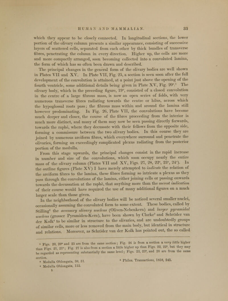 which they appear to be closely connected. In longitudinal sections, the lower portion of the olivary column presents a similar appearance, consisting of successive layers of scattered cells, separated from each other by thick bundles of transverse fibres, penetrating the column in every direction. Higher up, the cells are more and more compactly arranged, soon becoming collected into a convoluted lamina, the form of which has so often been drawn and described. The principal changes in the general form of the olivary bodies are well shown in Plates VII and XV. In Plate VII, Fig. 25, a section is seen soon after the full development of the convolution is attained, at a point just above the opening of the fourth ventricle, some additional details being given in Plate XV, Fig. 20'\1 The olivary body, which in the preceding figure, 19, consisted of a closed convolution in the centre of a large fibrous mass, is now an open series of folds, with very numerous transverse fibres radiating towards the centre or hilus, across which the hypoglossal roots pass; the fibrous mass within and around the lamina still however predominating. In Fig. 26, Plate VII, the convolutions have become much deeper and closer, the course of the fibres proceeding from the interior is much more distinct, and many of them may now be seen passing directly forwards, towards the raphe, where they decussate with their fellows from the opposite side, forming a commissure between the two olivary bodies. In this course they are joined by numerous arciform fibres, which everywhere surround and penetrate the olivaries, forming an exceedingly complicated plexus radiating from the posterior portion of the medulla. From this stage upwards, the principal changes consist in the rapid increase in number and size of the convolutions, which soon occupy nearly the entire mass of the olivary column (Plates VII and XV, Figs. 27, 28, 22% 23, 24). In the outline figures (Plate XV) I have merely attempted to indicate the relation of the arciform fibres to the lamina, these fibres forming so intricate a plexus as they pass through the convolutions of the lamina, either joining cells or passing onwards towards the decussation at the raphe, that anything more than the merest indication of their course would have required the use of many additional figures on a much larger scale than those given. In the neighborhood of the olivary bodies will be noticed several smaller nuclei, occasionally assuming the convoluted form to some extent. These bodies, called by Stilling2 the accessory olivary nucleus (Oliven-Nebenkern) and larger pyramidal nucleus (grosser Pyramiden-Kern), have been shown by Clarke3 and Schroder van der Kolk4 to be similar in structure to the olivaries, and are undoubtedly groups of similar cells, more or less removed from the main body, but identical in structure and relations. Moreover, as Schroder van der Kolk has pointed out, the so called * Figs. 20, 20a and 25 are from the same section ; Fig. 26 is from a section a very little higher than Figs 21 21a; Fig. 27 is also from a section a little higher up than Figs. 22, 22a, but they may be regarded as representing substantially the same level; Figs. 23, 23a, and 28 are from the same ■ 'Medulla Oblongata, 30, 31. 8 Philos. Transactions, 1858, 243. 4 Medulla Oblongata, 133. 5