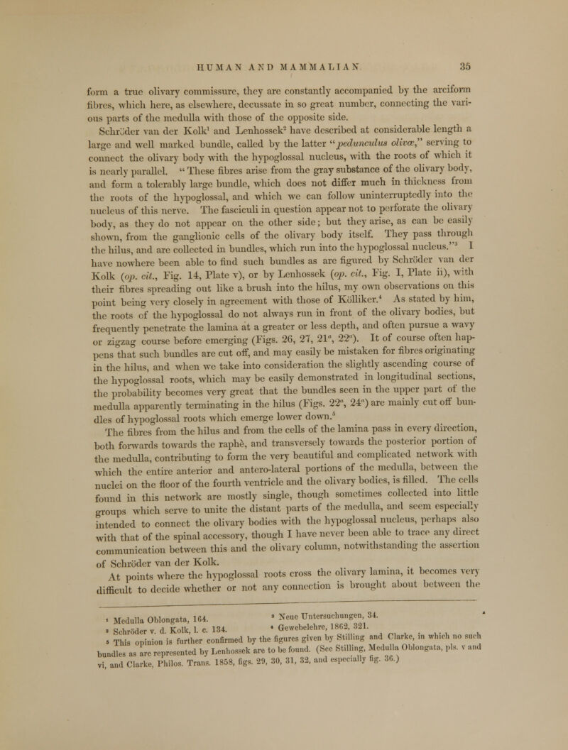 form a true olivary commissure, they are constantly accompanied by the arciform fibres, which here, as elsewhere, decussate in so great number, connecting the vari- ous parts of the medulla with those of the opposite side. Schroder van der Kolk1 and Lenhossek2 have described at considerable length a large and well marked bundle, called by the latter pedunculus oliva? serving to connect the olivary body with the hypoglossal nucleus, with the roots of which it is nearly parallel.  These fibres arise from the gray substance of the olivary body, and form a tolerably large bundle, which does not differ much in thickness from the roots of the hypoglossal, and which we can follow uninterruptedly into the nucleus of this nerve. The fasciculi in question appear not to perforate the olivary body, as they do not appear on the other side; but they arise, as can be easily shown, from the ganglionic cells of the olivary body itself. They pass through the hilus, and are collected in bundles, which run into the hypoglossal nucleus.'13 I have nowhere been able to find such bundles as are figured by Schroder van der Kolk (op. cit, Fig. 14, Plate v), or by Lenhossek (op. cit, Fig. I, Plate ii), with their fibres spreading out like a brush into the hilus, my own observations on this point being very closely in agreement with those of Kolliker.4 As stated by him, the roots of the hypoglossal do not always run in front of the olivary bodies, but frequently penetrate the lamina at a greater or less depth, and often pursue a wavy or zigzag course before emerging (Figs. 26, 27, 21, 22a). It of course often hap pens that such bundles are cut off, and may easily be mistaken for fibres originating in the hilus, and when we take into consideration the slightly ascending course of the hypoglossal roots, which may be easily demonstrated in longitudinal sections, the probability becomes very great that the bundles seen in the upper part of the medulla apparently terminating in the hilus (Figs. 22, 24) are mainly cut off bun- dles of hypoglossal roots which emerge lower down.5 The fibres from the hilus and from the cells of the lamina pass in every direction, both forwards towards the raphe, and transversely towards the posterior portion of the medulla, contributing to form the very beautiful and complicated network with which the entire anterior and antcro-lateral portions of the medulla, between the nuclei on the floor of the fourth ventricle and the olivary bodies, is filled. The cells found in this network are mostly single, though sometimes collected into little groups which serve to unite the distant parts of the medulla, and seem especially intended to connect the olivary bodies with the hypoglossal nucleus, perhaps also with that of the spinal accessory, though I have never been able to trace any direct communication between this and the olivary column, notwithstanding the assertion of Schroder van der Kolk. At points where the hypoglossal roots cross the olivary lamina, it becomes very- difficult to decide whether or not any connection is brought about between the t Medulla Oblongata, 164. 3 Neue ™ersuchungen 34. a Schroder v. d. Kolk, 1. c. 134. • Gewebelehre 1862321. » This opinion is further confirmed by the figures given by Stilling and Clarke, in which no sflch bundles as are represented by Lenhossek are to be found. (See Stilling, Medulla Oblongata, pis. v and vi and Clarke, Philos. Trans. 1858, figs. 29, 30, 31, 32, and especially fig. 36.)