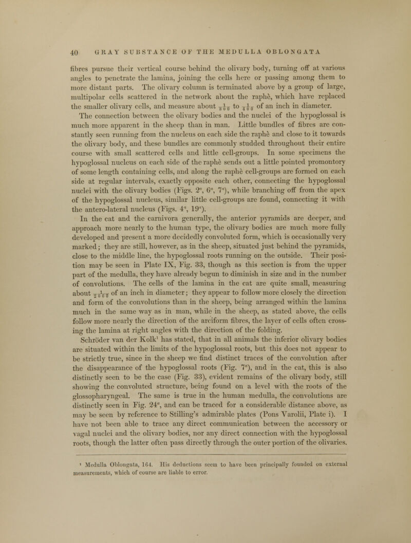 fibres pursue their vertical course behind the olivary body, turning off at various angles to penetrate the lamina, joining the cells here or passing among them to more distant parts. The olivary column is terminated above by a group of large, multipolar cells scattered in the network about the raphe, which have replaced the smaller olivary cells, and measure about ¥-J-7 to ¥-J-$ of an inch in diameter. The connection between the olivary bodies and the nuclei of the hypoglossal is much more apparent in the sheep than in man. Little bundles of fibres are con- stantly seen running from the nucleus on each side the raphe and close to it towards the olivary body, and these bundles are commonly studded throughout their entire course with small scattered cells and little cell-groups. In some specimens the hypoglossal nucleus on each side of the raphe sends out a little pointed promontory of some length containing cells, and along the raphe cell-groups are formed on each side at regular intervals, exactly opposite each other, connecting the hypoglossal nuclei with the olivary bodies (Figs. 2, C, 7), while branching off from the apex of the hypoglossal nucleus, similar little cell-groups are found, connecting it with the antero-lateral nucleus (Figs. 4a, 19). In the cat and the carnivora generally, the anterior pyramids are deeper, and approach more nearly to the human type, the olivary bodies are much more fully developed and present a more decidedly convoluted form, which is occasionally very marked; they are still, however, as in the sheep, situated just behind the pyramids, close to the middle line, the hypoglossal roots running on the outside. Their posi- tion may be seen in Plate IX, Fig. 33, though as this section is from the upper part of the medulla, they have already begun to diminish in size and in the number of convolutions. The cells of the lamina in the cat are quite small, measuring about ¥ oW °f an mcn m diamcter; they appear to follow more closely the direction and form of the convolutions than in the sheep, being arranged within the lamina much in the same way as in man, while in the sheep, as stated above, the cells follow more nearly the direction of the arciform fibres, the layer of cells often cross- ing the lamina at right angles with the direction of the folding. Schroder van der Kolk1 has stated, that in all animals the inferior olivary bodies are situated within the limits of the hypoglossal roots, but this does not appear to be strictly true, since in the sheep we find distinct traces of the convolution after the disappearance of the hypoglossal roots (Fig. 7), and in the cat, this is also distinctly seen to be the case (Fig. 33), evident remains of the olivary body, still showing the convoluted structure, being found on a level with the roots of the glossopharyngeal. The same is true in the human medulla, the convolutions are distinctly seen in Fig. 24, and can be traced for a considerable distance above, as may be seen by reference to Stilling's admirable plates (Pons Varolii, Plate i). I have not been able to trace any direct communication between the accessory or vagal nuclei and the olivary bodies, nor any direct connection with the hypoglossal roots, though the latter often pass directly through the outer portion of the olivaries. 1 Medulla Oblongata, 164. His deductions seem to have been principally founded on external measurements, which of course are liable to error.