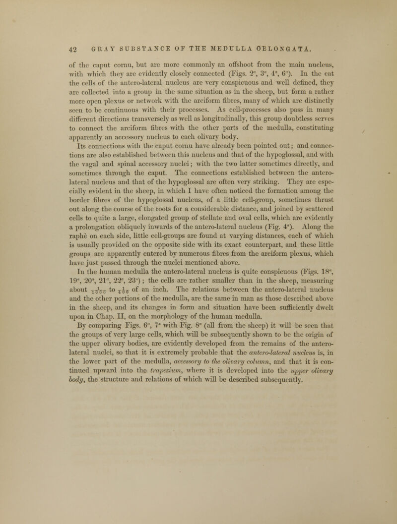 of the caput cornu, but are more commonly an offshoot from the main nucleus, with which they are evidently closely connected (Figs. 2, 3, 4, 6)- In the cat the cells of the antero-lateral nucleus are very conspicuous and well denned, they arc collected into a group in the same situation as in the sheep, but form a rather more open plexus or network with the arciform fibres, many of which are distinctly seen to be continuous with their processes. As cell-processes also pass in many different directions transversely as well as longitudinally, this group doubtless serves to connect the arciform fibres with the other parts of the medulla, constituting apparently an accessory nucleus to each olivary body. Its connections with the caput cornu have already been pointed out; and connec- tions are also established between this nucleus and that of the hypoglossal, and with the vagal and spinal accessory nuclei; with the two latter sometimes directly, and sometimes through the caput. The connections established between the antero- lateral nucleus and that of the hypoglossal are often very striking. They are espe- cially evident in the sheep, in which I have often noticed the formation among the border fibres of the hypoglossal nucleus, of a little cell-group, sometimes thrust out along the course of the roots for a considerable distance, and joined by scattered cells to quite a large, elongated group of stellate and oval cells, which are evidently a prolongation obliquely inwards of the antero-lateral nucleus (Fig. 4). Along the raphe on each side, little cell-groups are found at varying distances, each of which is usually provided on the opposite side with its exact counterpart, and these little groups are apparently entered by numerous fibres from the arciform plexus, which have just passed through the nuclei mentioned above. In the human medulla the antero-lateral nucleus is quite conspicuous (Figs. 18, 19, 20, 21, 22, 23a); the cells are rather smaller than in the sheep, measuring about j-Jqq to jfo of an inch. The relations between the antero-lateral nucleus and the other portions of the medulla, are the same in man as those described above in the sheep, and its changes in form and situation have been sufficiently dwelt upon in Chap. II, on the morphology of the human medulla. By comparing Figs. 6, la with Fig. 8 (all from the sheep) it will be seen that the groups of very large cells, which will be subsequently shown to be the origin of the upper olivary bodies, are evidently developed from the remains of the antero- lateral nuclei, so that it is extremely probable that the anterolateral nucleus is, in the lower part of the medulla, accessory to the olivary column, and that it is con- tinued upward into the trapezium, where it is developed into the upper olivary body, the structure and relations of which will be described subsequently.