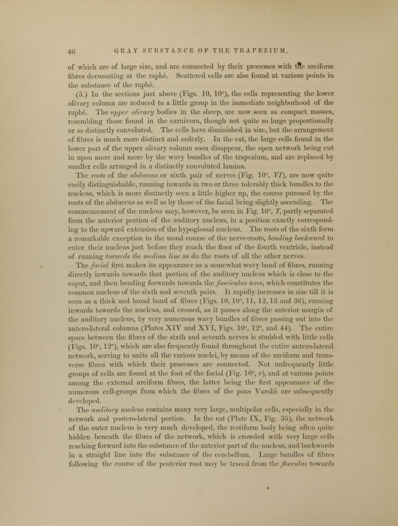 of which arc of large size, and are connected by their processes with tftc arciform fibres decussating at the raphe. Scattered cells are also found at various points in the substance of the raphe. (5.) In the sections just above (Figs. 10, 10), the cells representing the lower olivary column are reduced to a little group in the immediate neighborhood of the raphe. The upper olivary bodies in the sheep, are now seen as compact masses, resembling those found in the carnivora, though not quite so large proportionally or so distinctly convoluted. The cells have diminished in size, but the arrangement of fibres is much more distinct and orderly. In the cat, the large cells found in the lower part of the upper olivary column soon disappear, the open network being cut in upon more and more by the wavy bundles of the trapezium, and are replaced by smaller cells arranged in a distinctly convoluted lamina. The roots of the abducens or sixth pair of nerves (Fig. 10, 17), are now quite easily distinguishable, running inwards in two or three tolerably thick bundles to the nucleus, which is more distinctly seen a little higher up, the course pursued by the roots of the abducens as well as by those of the facial being slightly ascending. The commencement of the nucleus may, however, be seen in Fig. 10, T, partly separated from the anterior portion of the auditory nucleus, in a position exactly correspond- ing to the upward extension of the hypoglossal nucleus. The roots of the sixth form a remarkable exception to the usual course of the nerve-roots, bending backward to enter their nucleus just before they reach the floor of the fourth ventricle, instead of running towards the median line as do the roots of all the other nerves. The facial first makes its appearance as a somewhat wavy band of fibres, running directly inwards towards that portion of the auditory nucleus which is close to the caput, and then bending forwards towards the fasciculus teres, which constitutes the common nucleus of the sixth and seventh pairs. It rapidly increases in size till it is seen as a thick and broad band of fibres (Figs. 10, 10, 11, 12, 13 and 36), running inwards towards the nucleus, and crossed, as it passes along the anterior margin of the auditory nucleus, by very numerous wavy bundles of fibres passing out into the antero-lateral columns (Plates XIV and XVI, Figs. 10, 12, and 44). The entire space between the fibres of the sixth and seventh nerves is studded with little cells (Figs. 10, 12), which are also frequently found throughout the entire antero-lateral network, serving to unite all the various nuclei, by means of the arciform and trans- verse fibres with which their processes arc connected. Not unfrequently little groups of cells are found at the foot of the facial (Fig. 10, v), and at various points among the external arciform fibres, the latter being the first appearance of the numerous cell-groups from which the fibres of the pons Varolii arc subsequently developed. The auditory nucleus contains many very large, multipolar cells, especially in the network and postero-lateral portion. In the cat (Plate IX, Fig. 35), the network of the outer nucleus is very much developed, the restiform body being often quite hidden beneath the fibres of the network, which is crowded with very large cells reaching forward into the substance of the anterior part of the nucleus, and backwards in a straight line into the substance of the cerebellum. Large bundles of fibres following the course of the posterior root may be traced from the flocculus towards