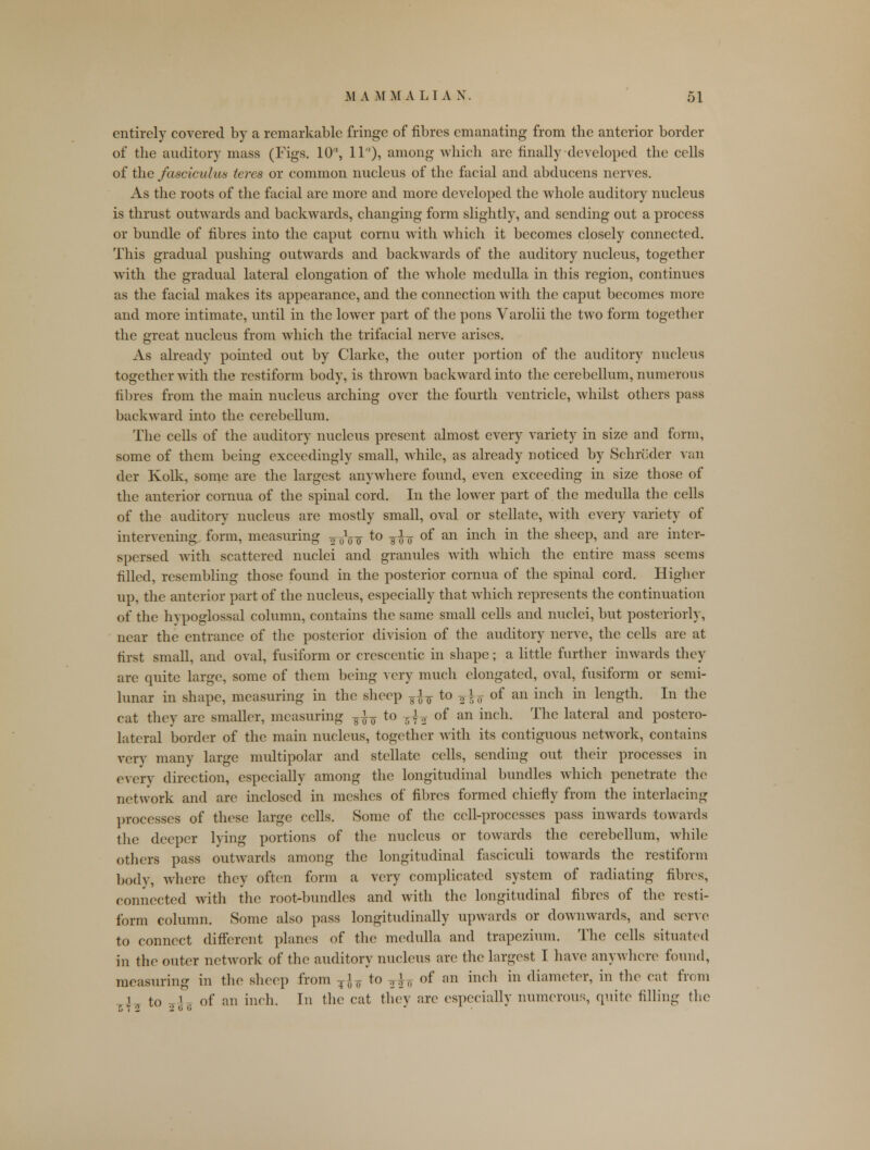 entirely covered by a remarkable fringe of fibres emanating from the anterior border of the auditory mass (Figs. 10% llrt), among which are finally developed the cells of the fasciculus teres or common nucleus of the facial and abducens nerves. As the roots of the facial are more and more developed the whole auditory nucleus is thrust outwards and backwards, changing form slightly, and sending out a process or bundle of fibres into the caput cornu with which it becomes closely connected. This gradual pushing outwards and backwards of the auditory nucleus, together with the gradual lateral elongation of the whole medulla in this region, continues as the facial makes its appearance, and the connection with the caput becomes more and more intimate, until in the lower part of the pons Varolii the two form together the great nucleus from which the trifacial nerve arises. As already pointed out by Clarke, the outer portion of the auditory nucleus together with the restiform body, is thrown backward into the cerebellum, numerous fibres from the main nucleus arching over the fourth ventricle, whilst others pass backward into the cerebellum. The cells of the auditory nucleus present almost every variety in size and form, some of them being exceedingly small, while, as already noticed by Schroder van der Kolk, some are the largest anywhere found, even exceeding in size those of the anterior cornua of the spinal cord. In the lower part of the medulla the cells of the auditory nucleus are mostly small, oval or stellate, with every variety of intervening form, measuring ¥ oV o to s o o °f an mcn m tne sneeP> and are inter- spersed with scattered nuclei and granules with which the entire mass seems filled, resembling those found in the posterior cornua of the spinal cord. Higher up, the anterior part of the nucleus, especially that which represents the continuation of the hypoglossal column, contains the same small cells and nuclei, but posteriorly, near the entrance of the posterior division of the auditory nerve, the cells are at first small, and oval, fusiform or crescentic in shape; a little further inwards they are quite large, some of them being very much elongated, oval, fusiform or semi- lunar in shape, measuring in the sheep ^ to fb of an inch in length. In the cat they are smaller, measuring ^h to 5I2 of an incn- Tnc latcral and postero- lateral border of the main nucleus, together with its contiguous network, contains very many large multipolar and stellate cells, sending out their processes in every direction, especially among the longitudinal bundles which penetrate the network and are inclosed in meshes of fibres formed chiefly from the interlacing processes of these large cells. Some of the cell-processes pass inwards towards the deeper lying portions of the nucleus or towards the cerebellum, while others pass outwards among the longitudinal fasciculi towards the restiform body, where they often form a very complicated system of radiating fibres, connected with the root-bundles and with the longitudinal fibres of the resti- form column. Some also pass longitudinally upwards or downwards, and serve to connect different planes of the medulla and trapezium. The cells situated in the outer network of the auditory nucleus are the largest I have anywhere found, measuring in the sheep from T$T to ^77 of an mch in diameter, in the cat from 4, to ., \ . of an inch. In the cat they arc especially numerous, quite filling the