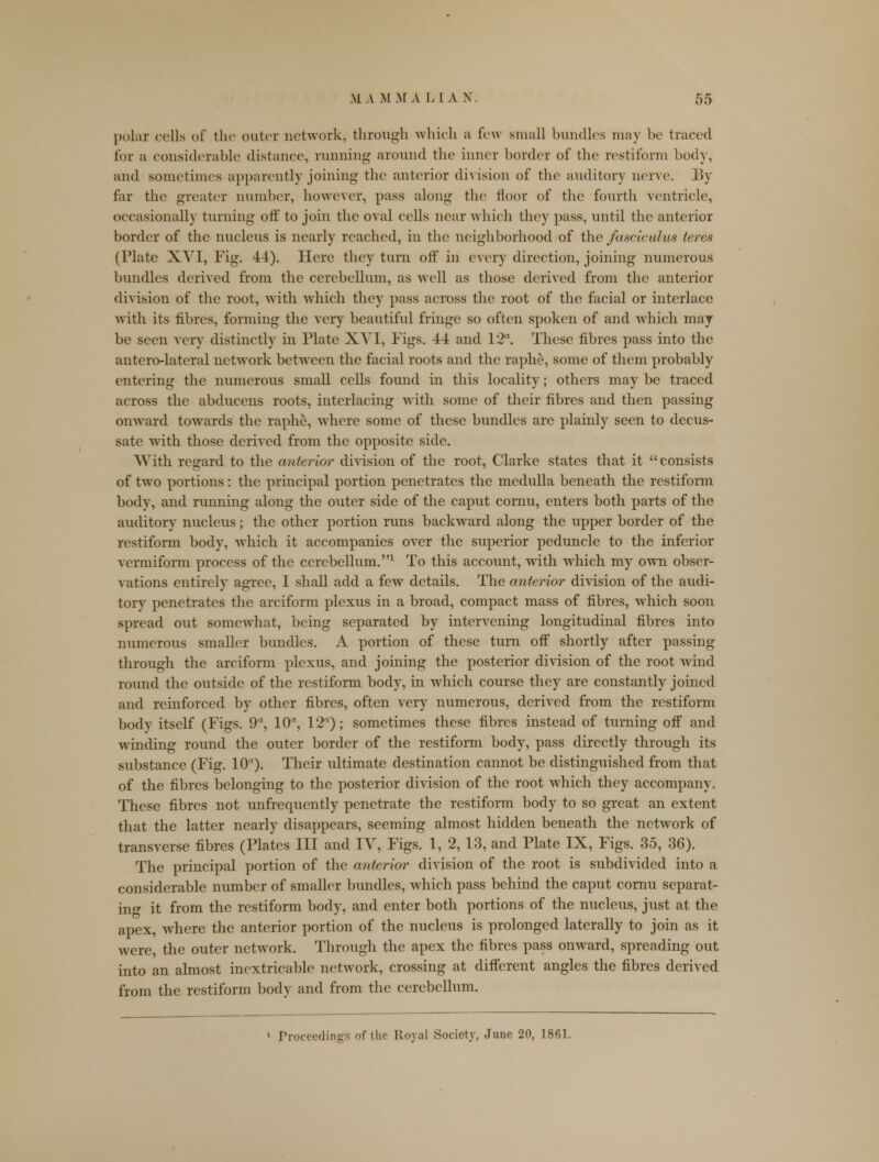 polar cells of the outer network, through which a few small bundles may be traced for a considerable distance, running around the inner border of the restiform body, and sometimes apparently joining the anterior division of the auditory nerve. By for the greater number, however, pass along the floor of the fourth ventricle, occasionally turning off to join the oval cells near which they pass, until the anterior border of the nucleus is nearly reached, in the neighborhood of the fasciculus teres (Plate XVI, Fig. 44). Here they turn off in every direction, joining numerous bundles derived from the cerebellum, as well as those derived from the anterior division of the root, with which they pass across the root of the facial or interlace with its fibres, forming the very beautiful fringe so often spoken of and which may be seen very distinctly in Plate XVI, Figs. 44 and 12. These fibres pass into the antero-lateral network between the facial roots and the raphe, some of them probably entering the numerous small cells found in this locality; others may be traced across the abducens roots, interlacing with some of their fibres and then passing onward towards the raphe, where some of these bundles are plainly seen to decus- sate with those derived from the opposite side. With regard to the anterior division of the root, Clarke states that it consists of two portions: the principal portion penetrates the medulla beneath the restiform body, and running along the outer side of the caput cornu, enters both parts of the auditory nucleus; the other portion runs backward along the upper border of the restiform body, which it accompanies over the superior peduncle to the inferior vermiform process of the cerebellum.1 To this account, with which my own obser- vations entirely agree, I shall add a few details. The anterior division of the audi- tory penetrates the arciform plexus in a broad, compact mass of fibres, which soon spread out somewhat, being separated by intervening longitudinal fibres into numerous smaller bundles. A portion of these turn off shortly after passing through the arciform plexus, and joining the posterior division of the root wind round the outside of the restiform body, in which course they are constantly joined and reinforced by other fibres, often very numerous, derived from the restiform body itself (Figs. 9, 10, 12); sometimes these fibres instead of turning off and winding round the outer border of the restiform body, pass directly through its substance (Fig. 10). Their ultimate destination cannot be distinguished from that of the fibres belonging to the posterior division of the root which they accompany. These fibres not unfrequently penetrate the restiform body to so great an extent that the latter nearly disappears, seeming almost hidden beneath the network of transverse fibres (Plates III and IV, Figs. 1, 2, 13, and Plate IX, Figs. 35, 36). The principal portion of the anterior division of the root is subdivided into a considerable number of smaller bundles, which pass behind the caput cornu separat- ing it from the restiform body, and enter both portions of the nucleus, just at the apex, where the anterior portion of the nucleus is prolonged laterally to join as it were, the outer network. Through the apex the fibres pass onward, spreading out into an almost inextricable network, crossing at different angles the fibres derived from the restiform body and from the cerebellum.