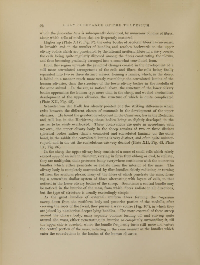 which the fasciculus teres is subsequently developed, by numerous bundles of fibres, along which cells of medium size are frequently scattered. Higher up (Plate XIV, Fig. 9), the outer border of arciform fibres has increased in breadth and in the number of bundles, and reaches backwards to the upper olivary bodies which are penetrated by the internal arciform fibres in a wavy course, the cells being quite regularly disposed among the fibres constituting the plexus, and thus becoming gradually arranged into a somewhat convoluted form. From this region upwards the principal changes consist in the development of a still more convoluted arrangement of the cells and fibres, the cells being finally separated into two or three distinct masses, forming a lamina, which, in the sheep, is folded in a manner much more nearly resembling the convoluted lamina of the human olivaries, than the structure of the lower olivary bodies in the medulla of the same animal. In the cat, as noticed above, the structure of the lower olivary bodies approaches the human type more than in the sheep, and we find a coincident development of the upper olivaries, the structure of which is quite complicated (Plate XII, Fig. 42). Schroder van der Kolk has already pointed out the striking differences which exist between the different classes of mammals in the development of the upper olivaries. He found the greatest development in the Carnivora, less in the Rodentia, and still less in the Herbivora; these bodies being so slightly developed in the ass as to be easily overlooked. These observations are quite hi accordance with my own; the upper olivary body in the sheep consists of two or three distinct spherical bodies rather than a connected and convoluted lamina: on the other hand, in the rabbit the convoluted lamina is very distinct, and often quite uninter- rupted, and in the cat the convolutions are very decided (Plate XII, Fig. 42, Plate IX, Fig. 36). In the sheep the upper olivary body consists of a mass of small cells which rarely exceed T^^ of an inch in diameter, varying in form from oblong or oval, to stellate; they are multipolar, their processes being everywhere continuous with the numerous bundles which either penetrate or radiate from the interior of the mass. The olivary body is completely surrounded by fibre-bundles chiefly radiating or turning off from the arciform plexus, many of the fibres of which penetrate the mass, form- ing a somewhat similar system of fibres alternating with layers of cells, to that noticed in the lower olivary bodies of the sheep. Sometimes a central bundle may be noticed in the interior of the mass, from which fibres radiate in all directions, but the type of structure is usually exceedingly simple. As the great bundles of external arciform fibres forming the trapezium sweep down from the restiform body and posterior portion of the medulla, after crossing the roots of the facial, they pursue a wavy course (Fig. 10), in which they are joined by numberless deeper lying bundles. The more external of these sweep around the olivary body, many separate bundles turning off and curving quite around the mass, either penetrating its interior or completely surrounding it, till the upper side is reached, Avhere the bundle frequently turns still more and enters the central portion of the mass, radiating in the same manner as the bundles which enter the convolutions in the lamina of the human olivaries.