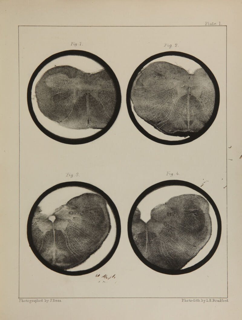 Pliotoerajhecl iy J.Deaji. Thoto-Iitlviyl.H.B-raafora.