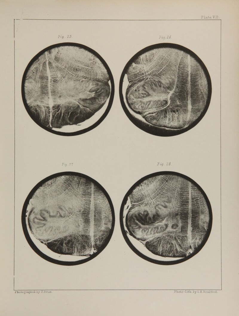 Ho 25. Fig.26. Tiq. 28.