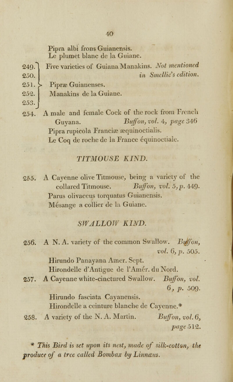 10 Pipra albi frons Guianensis. Le pluraet blanc de la Guiane. 249.1 Five varieties of Guiana Manakins. Not mentioned 250. in Smellie's edition. 251. > Piprae Guianenses. £52. Manakins de la Guiane. 253. ' £54. A male and female Cock of the rock from French Guyana, Buff on, vol. 4, page 346 Pipra rupicola Francise aequinoctialis. Le Coq de roche de la France equinoctiale. TITMOUSE KIND. £55. A Cayenne olive Titmouse, being a variety of the collared Titmouse. Buff on, vol. 5, p. 449- Parus olivaceus torquatus Guianensis. Mesanae a collier de la Guiane. •s SWALLOW KIND. 256. A N. A. variety of the common Swallow. Bufffbn, vol. 6,p. 505. Hirundo Panayana Amer. Sept. Hirondelle d'Antigue de l'Amer. duNord. £57. A Cayenne white-cinctured Swallow. Buff on, vol. 6, p. 509- Hirundo fasciata Cayanensis. Hirondelle a ceinture blanche de Cayenne.* £58. A variety of the N. A. Martin. Buff on, vol. 6, page 512. * This Bird is set upon its nest, made of silk-cotton, the produce of a tree called Bombax by Linnaus.