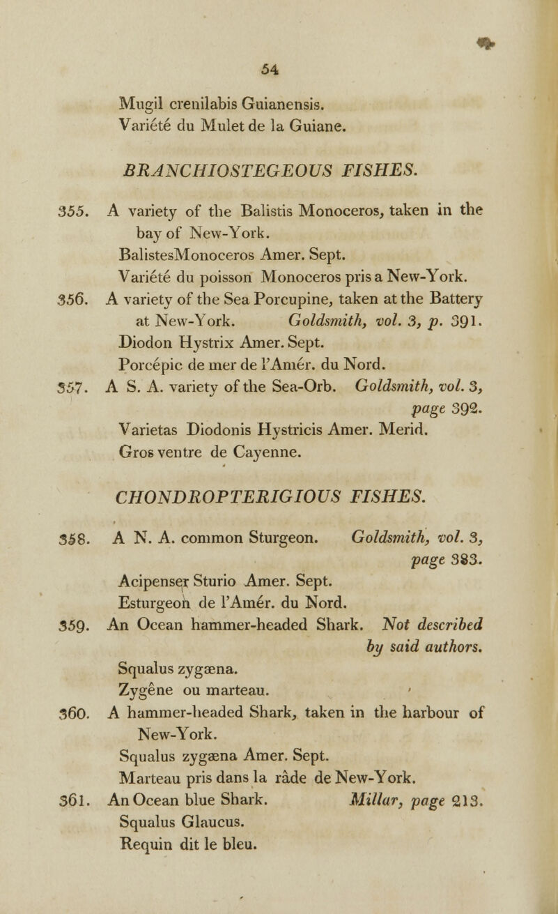 Mugil crenilabis Guianensis. Variete du Mulet de la Guiane. BRANCHIOSTEGEOUS FISHES. 355. A variety of the Balistis Monoceros, taken in the bay of New-York. BalistesMonoceros Amer. Sept. Variete du poisson Monoceros pris a New-York. 356. A variety of the Sea Porcupine, taken at the Battery at New-York. Goldsmith, vol. 3, p. 391. Diodon Hystrix Amer. Sept. Porcepic de rner de 1'Amer. du Nord. 357. A S. A. variety of the Sea-Orb. Goldsmith, vol. 3, page 392. Varietas Diodonis Hystricis Amer. Merid. Gros ventre de Cayenne. CHONDROPTERIGIOUS FISHES. 358. A N. A. common Sturgeon. Goldsmith, vol. 3, page 383. Acipense^r Sturio Amer. Sept. Esturgeoh de l'Arner. du Nord. 359. An Ocean hammer-headed Shark. Not described by said authors. Squalus zygaena. Zygene ou marteau. 360. A hammer-headed Shark, taken in the harbour of New-York. Squalus zygaena Amer. Sept. Marteau pris dans la rade de New-York. 361. An Ocean blue Shark. Millar, page 213. Squalus Glaucus. Requin dit le bleu.