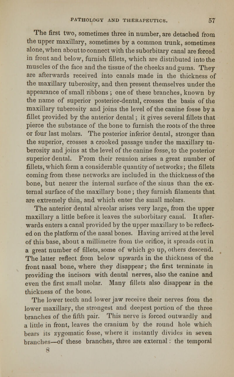 The first two, sometimes three in number, are detached from the upper maxillary, sometimes by a common trunk, sometimes alone, when about to connect with the suborbitary canal are forced in front and below, furnish fillets, which are distributed into the muscles of the face and the tissue of the cheeks and gums. They are afterwards received into canals made in the thickness of the maxillary tuberosity, and then present themselves under the appearance of small ribbons ; one of these branches, known by the name of superior posterior-dental, crosses the basis of the maxillary tuberosity and joins the level of the canine fosse by a fillet provided by the anterior dental; it gives several fillets that pierce the substance of the bone to furnish the roots of the three or four last molars. The posterior inferior dental, stronger than the superior, crosses a crooked passage under the maxillary tu- berosity and joins at the level of the canine fosse, to the posterior superior dental. From their reunion arises a great number of fillets, which form a considerable quantity of networks; the fillets coming from these networks are included in the thickness of the bone, but nearer the internal surface of the sinus than the ex- ternal surface of the maxillary bone; they furnish filaments that are extremely thin, and which enter the small molars. The anterior dental alveolar arises very large, from the upper maxillary a little before it leaves the suborbitary canal. It after- wards enters a canal provided by the upper maxillary to be reflect- ed on the platform of the nasal bones. Having arrived at the level of this base, about a millimetre from the orifice, it spreads out in a great number of fillets, some of which go up, others descend. The latter reflect from below upwards in the thickness of the front nasal bone, where they disappear; the first terminate in providing the incisors with dental nerves, also the canine and even the first small molar. Many fillets also disappear in the thickness of the bone. The lower teeth and lower jaw receive their nerves from the lower maxillary, the strongest and deepest portion of the three branches of the fifth pair. This nerve is forced outwardly and a little in front, leaves the cranium by the round hole which bears its zygomatic fosse, where it instantly divides in seven branches—of these branches, three are external: the temporal