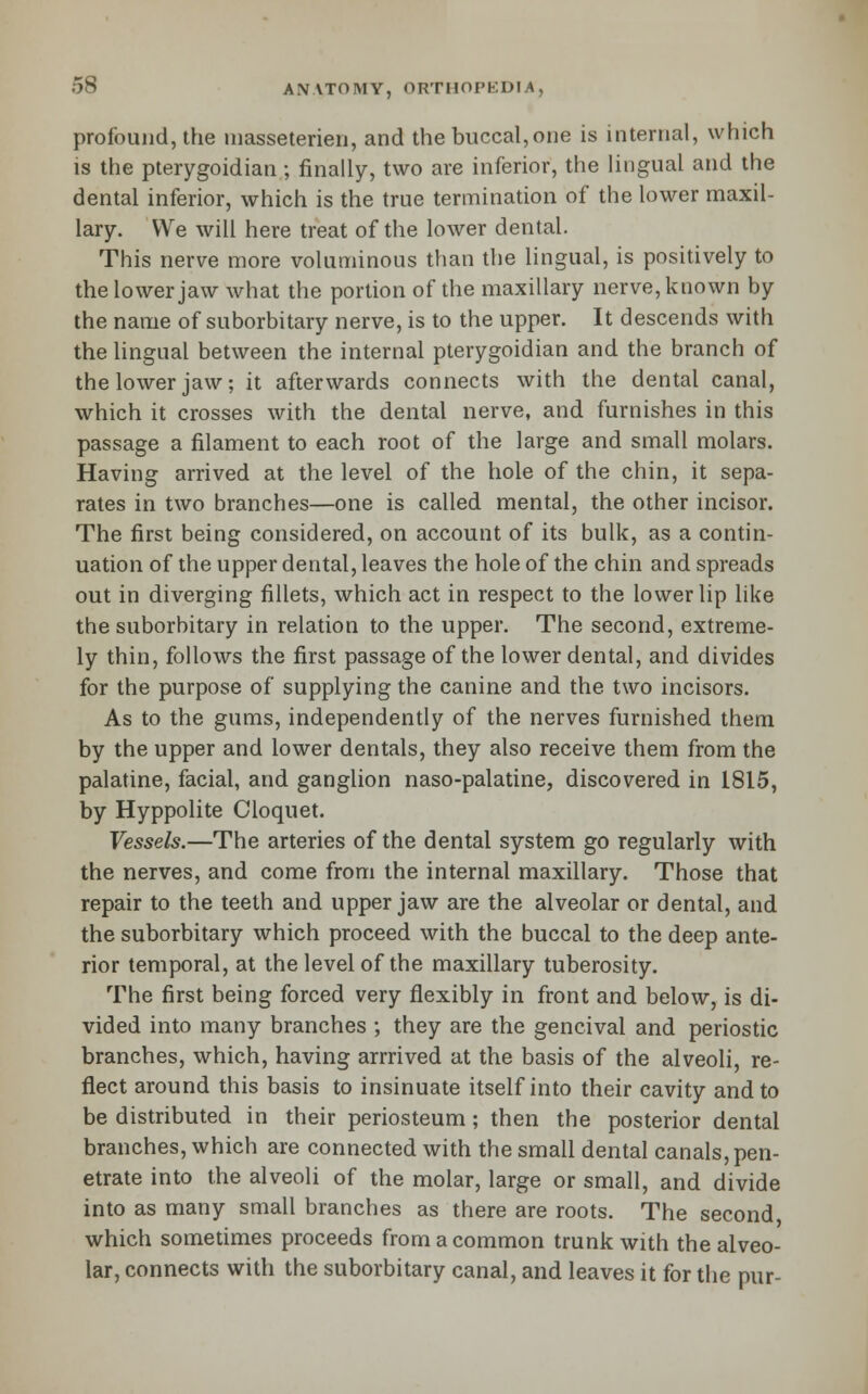 profound, the inasseterieii, and the buccal,one is internal, which is the pterygoidian; finally, two are inferior, the lingual and the dental inferior, which is the true termination of the lower maxil- lary. We will here treat of the lower dental. This nerve more voluminous than the lingual, is positively to the lower jaw what the portion of the maxillary nerve, known by the name of suborbitary nerve, is to the upper. It descends with the Ungual between the internal pterygoidian and the branch of the lower jaw; it afterwards connects with the dental canal, which it crosses with the dental nerve, and furnishes in this passage a filament to each root of the large and small molars. Having arrived at the level of the hole of the chin, it sepa- rates in two branches—one is called mental, the other incisor. The first being considered, on account of its bulk, as a contin- uation of the upper dental, leaves the hole of the chin and spreads out in diverging fillets, which act in respect to the lower lip like the suborbitary in relation to the upper. The second, extreme- ly thin, follows the first passage of the lower dental, and divides for the purpose of supplying the canine and the two incisors. As to the gums, independently of the nerves furnished them by the upper and lower dentals, they also receive them from the palatine, facial, and ganglion naso-palatine, discovered in 1815, by Hyppolite Cloquet. Vessels.—The arteries of the dental system go regularly with the nerves, and come from the internal maxillary. Those that repair to the teeth and upper jaw are the alveolar or dental, and the suborbitary which proceed with the buccal to the deep ante- rior temporal, at the level of the maxillary tuberosity. The first being forced very flexibly in front and below, is di- vided into many branches ; they are the gencival and periostic branches, which, having arrrived at the basis of the alveoli, re- flect around this basis to insinuate itself into their cavity and to be distributed in their periosteum; then the posterior dental branches, which are connected with the small dental canals, pen- etrate into the alveoli of the molar, large or small, and divide into as many small branches as there are roots. The second which sometimes proceeds from a common trunk with the alveo- lar, connects with the suborbitary canal, and leaves it for the pur-