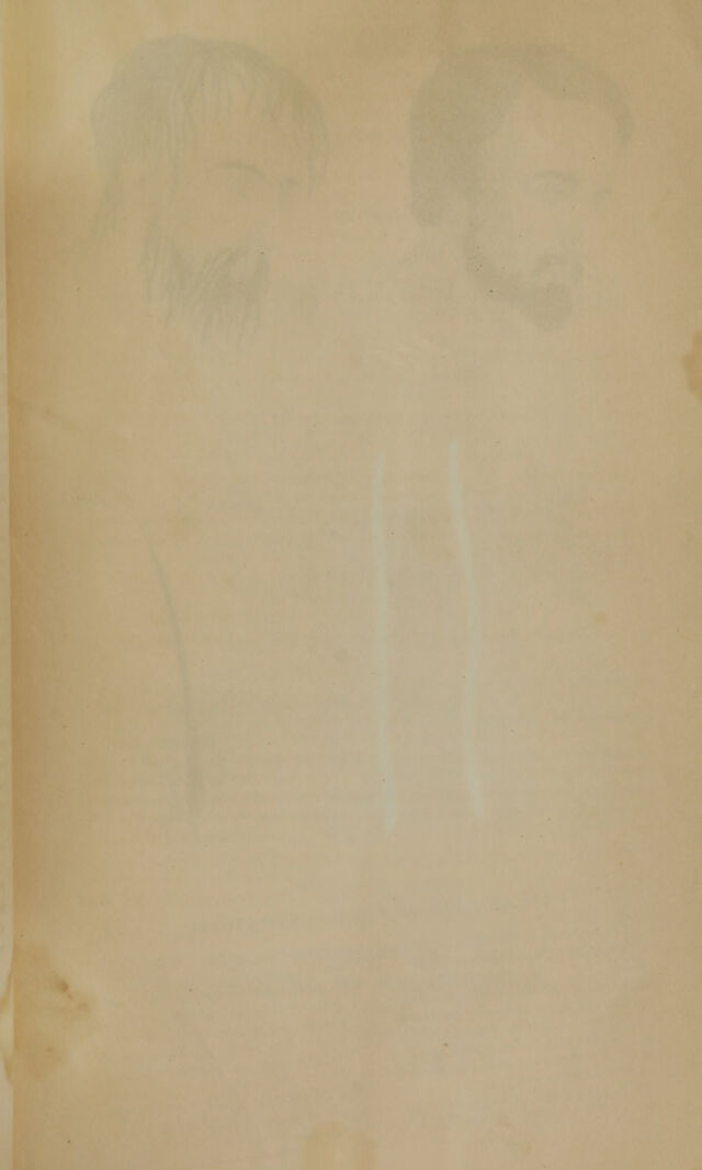 digitised image 3