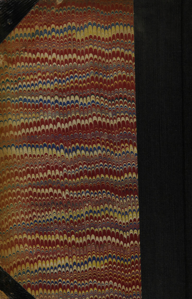 M rf** n^KAZ/*,,' A tfiMWTO .r^  ^MaN vdfW