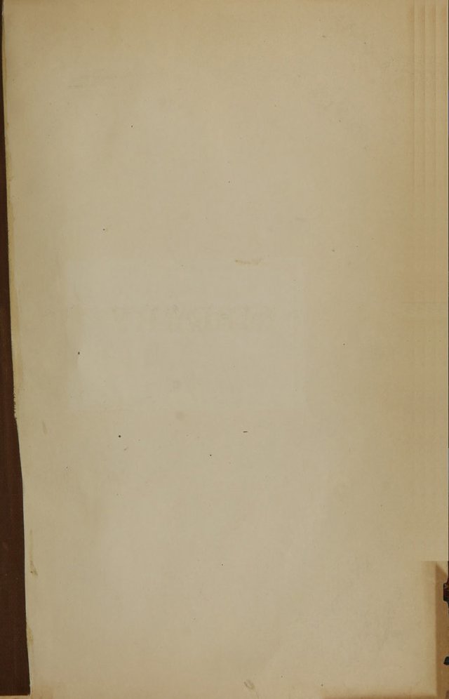 digitised image 3