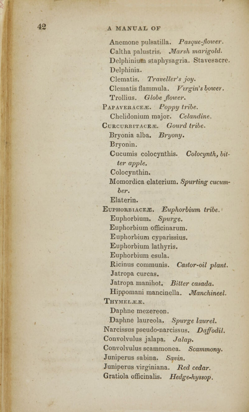 Anemone pulsatilla. Pasque-flower. Caltha palustris. Marsh marigold. Delphinium staphysagria. Stavesacre. Delphinia. Clematis. Traveller's joy. Clematis flammula. Virgin's bower. Trollius. Globe flower. Papaverace.e. Poppy tribe. Chelidonium major. Celandine. CuRcuRBiTACEiE. Gourd tribe. Bryonia alba. Bryony. Bryonin. Cucumis colocynthis. Colocynth, bit- ter apple. Colocynthin. Momordica elaterium. Spurting cucum- ber. Elaterin. Euphorbiaceje. Euphorbium tribe. Euphorbium. Spurge. Euphorbium officinarum. Euphorbium cyparissius. Euphorbium lathyris. Euphorbium esula. Ricinus communis. Castor-oil plant. Jatropa curcas. Jatropa manihot. Bitter casada. Hippomani mancinella. Manchineel. Thymel^je. Daphne mezereon. Daphne laureola. Spurge laurel. Narcissus pseudo-narcissus. Daffodil. Convolvulus jalapa. Jalap. Convolvulus scammonea. Scammony. Juniperus sabina. Savin. Juniperus virginiana. Red cedar. Gratiola officinalis. Hedge-hyssop.