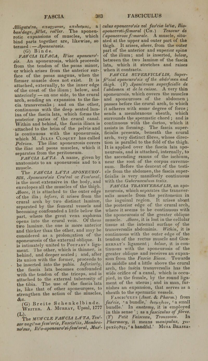 Mligatu'ra, anaoyavov, tniSea^ioc, a barJ'dage,.fiVlet, rol'ler. The aponeu- rotic expansions of muscles, which bind parts together are, likewise, so termed : — Aponeurosis. (G) Binde. FJiS'CIA ILVACA, IL'iac aponeuro'- sis. An aponeurosis, which proceeds from the tendon of the psoas minor, or which arises from the anterior sur- face of the psoas magnus, when the former muscle does not exist. It is attached, externally, to the inner edge of the crest of the ilium ; below, and anteriorly — on one side, to the crural arch, sending an expansion to the fas- cia transversalis ; and on the other, continuous with the deep seated lam- ina of the fascia lata, which forms the posterior paries of the crural canal. Within and behind, the fascia iliaca is attached to the brim of the pelvis and is continuous with the aponeurosis, which M. Jules Clo^uet has called Pelvian. The iliac aponeurosis covers the iliac and psoas muscles, which it separates from the peritoneum. FAS'CIA LA'TA. A name, given by anatomists to an aponeurosis and to a muscle. The FAS'CIA LA'TA APONEURO'- SIS, Jlponcuro'sis Cru'ral or Fem'oral, is the most extensive in the body, and envelopes all the muscles of the thigh. Move, it is attached to the outer ed'ge of the ilia; before, it arises from the crural arch by two distinct laminse, separated by the femoral vessels and becomino- confounded a little below the part, where the great vena saphaena opens into the crural vein. Of these two lamince. the one is more anterior and thicker than the other, and may be considered as a prolongation of the aponeurosis of the external oblique. It is intimately united to Poupart's liga- ment. The other, which is thinner, is behind, and deeper seated ; and, after its union with the former, proceeds to . be inserted into the pubis. InferiorJij, the fascia lata becomes confounded with the tendon of the triceps, and is attached to the external tuberosity of the tibia. The use of the fascia lata is like that of other aponeuroses, to strengthen the action of the muscles, &c. (G) Breite Schenkelbinde. Writer. A. Murray, Upsal, 1777 •The MTJS'CLE FAS'CIA LA'TA, Ten'- sorvasi'na fern'oris, Fascial Lis, Membra cuius aponevro'sis vel fas'cia la'tce, Rio- aponevroti-femoral (Ch.) Tenseur de L'aponevrose fi'morale. A muscle, situ- ated at the upper and outer part of the thigh. It arises, above, from the outer part of the anterior and superior spine of the ilium; and is inserted, below, between the two laminse of the fascia lata, which it stretches and raises when it contracts. FAS'CIA SUPERFICIA'LIS, Super- ficial aponcuro' sis of the ah do' men and thigh. (F) Aponevrose superficielle de Vabdomcn et de la cuisse. A very thin aponeurosis, which covers the muscles and aponeuroses of the abdomen ; passes before the crural arch, to which it adheres with some degree of force; sends a membranous sheath, which surrounds the spermatic chord ; and is continuous with the dartos, which it assists in forming. The fascia super- ficialis presents, beneath the crural arch, very distinct fibres, whose direc- tion is parallel to the fold of the thigh. It is applied over the fascia lata apo- neurosis, and is attached, internally, to the ascending ramus of the ischium, near the root of the corpus caverno- sum. Before the descent of the testi- cle from the abdomen, the fascia super- ficialis is ver}'^ manifestly continuous with the Guhernaculum testis. FAS'CIA TRANSVERSA'LIS, an apo- neurosis, which separates the transver- salis muscle from the peritoneum in the inguinal region. It arises about the posterior edge of the crural arch, where it seems to be continuous with the aponeurosis of the greater oblique muscle. Above, it is lost in the cellular tissue at the internal surface of the transversalis abdominis. Within, it is continuous with the outer edge of the tendon of the rectus muscle and GiM- bernat's ligament; below, it is con- tinuous with the aponeurosis of the greater oblique and receives an expan- sion from the Fascia Iliaca. Towards its middle and a little above the crural arch, the fascia transversalis has the wide orifice of a canal, which is occu- pied, in the female, by the round liga- ment of the uterus; and in man, fur- nishes an expansion, that serves as a sheath to the spermatic vessels. Fascic'ulus {Anat. & Pharm.) from fas'cis, ' a bundle,' StafiijSioi, ^ a. smd.ll bundle.' In anatomy, it is employed in this sense '; as a fasciculus of fibres. (F) Petit Faisceau, Trousseau. In Pharmacij, it means manipulus, %ti- no'sus, Jli'o-ap(meuro'si-fem'oral, Mus'- \ QOTiXyj^n?,' a handful.' Musa Bkassa-