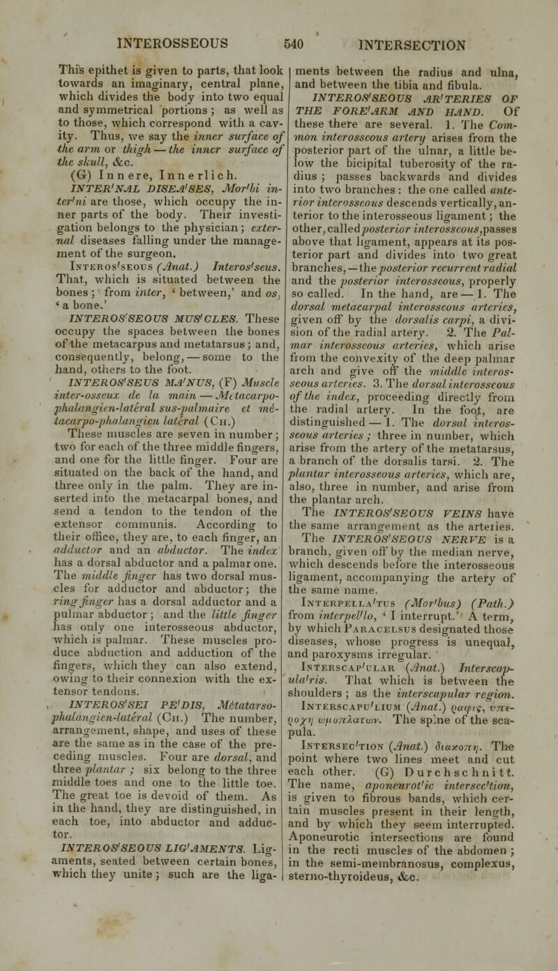 This epithet is given to parts, that look towards an imaginary, central plane, which divides the body into two equal and symmetrical portions ; as well as to those, which correspond with a cav- ity. Thus, we say the inner surface of the arm or tjiigh — the inner surface of the skull, &c. (G) Innere, Innerlich. INTER'NAL DISEA'SES, Mor'hi in- ter'ni are those, which occupy the in- ner parts of the body. Their investi- gation belongs to the physician ; exter- nal diseases falling under the manage- ment of the surgeon. Interos'seous (Jinat.) Interos'seus. That, which is situated between the bones ; from inter, ' between,' and os^ ' a bone.' INTEROS'SEOUS MUS'CLES. These occupy the spaces between tlie bones of the metacarpus and metatarsus; and, consequently, belong, — some to the hand, others to the foot. ' INTEROS'SEUS MA'NUS, (F) Muscle inter-osseux de la main — Mitacarpo- phalangkn-lateral sus-pahiiaire ct in6- tacarpo-phulaiigien lateral (Ch.) These muscles are seven in number; two for each of the three middle fingers, and one for the little finger. Four are situated on the back of the hand, and three only in the palm. They are in- serted into tlie metacarpal bones, and send a tendon to the tendon of the extensor communis. According to their office, they are, to each finger, an adductor and an abductor. The index has a dorsal abductor and a palmar one. The middle finger has two dorsal mus- cles for adductor and abductor; the ring finger has a dorsal adductor and a pulmar abductor ; and the little finger has only one interosseous abductor, which is palmar. These muscles pro- duce abduction and adduction of the fingers, which they can also extend, owing to their connexion with the ex- tensor tendons. INTEROS'SEI PE'DIS, Mitatarso- phalangien-lateral (Ch.) The number, arrangement, shape, and uses of these are the same as in the case of the pre- ceding muscles. Four are dorsal, and three plantar ; six belong to the three middle toes and one to the little toe. The great toe is devoid of them. As in the hand, they are distinguished, in each toe, into abductor and adduc- tor. INTEROS'SEOUS LIG'AMENTS. Lig- aments, seated between certain bones, which they unite; such are the litra- ments between the radius and ulna, and between the tibia and fibula. INTEROS'SEOUS AR'TERIES OF THE FORE'ARM AND HAND. Of these there are several. 1. 'J'he Com- mon interosseous artery arises from the posterior part of the ulnar, a little be- low the bicipital tuberosity of the ra- dius ; passes backwards and divides into two branches : the one called a?ite- rior interosseous descends vertically, an- terior to the interosseous ligament; the other, caWedposterior interosscous,pa.sseB above that ligament, appears at its pos- terior part and divides into two great hranches, —the posterior recurrent radial and the posterior interosseous, properly so called. In the hand, are—1. The dorsal metacarpal interosseous arteries, given off by tlie dorsalis carpi, a divi- sion of the radial artery. 2. The Pal- mar interosseous arteries, which arise from the convexity of the deep palmar arch and give off the middle interos- seous arteries. 3. The dorsal interosseous of the index, proceeding directly from the radial artery. In the foot, are distinguished — 1. The dorsal interos- seous arteries ; three in number, which arise from the artery of the metatarsus, a branch of the dorsalis tarsi. 2. The plantar interosseous arteries, which are, also, three in number, and arise from the plantar arch. The INTEROS'SEOUS VEINS have the same arrangement as the arteries. The INTEROS'SEOUS NERVE is a branch, given off by the median nerve, which descends beibre the interosseous ligament, accompanying the artery of the same name. Lxterpella'tus (Mor'hus) (Path.) from interpeUlo, ' I interrupt.' A term, by which Paracelsus designated those diseases, whose progress is unequal, and paroxysms irregular. Interscap'ular {Jlnat.) Interscap- ula'ris. That which is between the shoulders ; as the interscapular region. Intkrscapu'hum {Jlnat.) (>acpi(, vne- Qo/t] (x)fioTc?.arwv. The spine of the sca- pula. Intersec'tion {Anat.) Siaxony]. The point where two lines meet and cut each other. (G) Durchschnitt. The name, aponeurot'ic intersec'tion, is given to fibrous bands, which cer- tain muscles present in their length, and by which they seem interrupted. Aponeurotic intersections are found in the recti muscles of the abdomen ; in the semi-membranosus, complexus, sterno-thyroideus, «fcc.