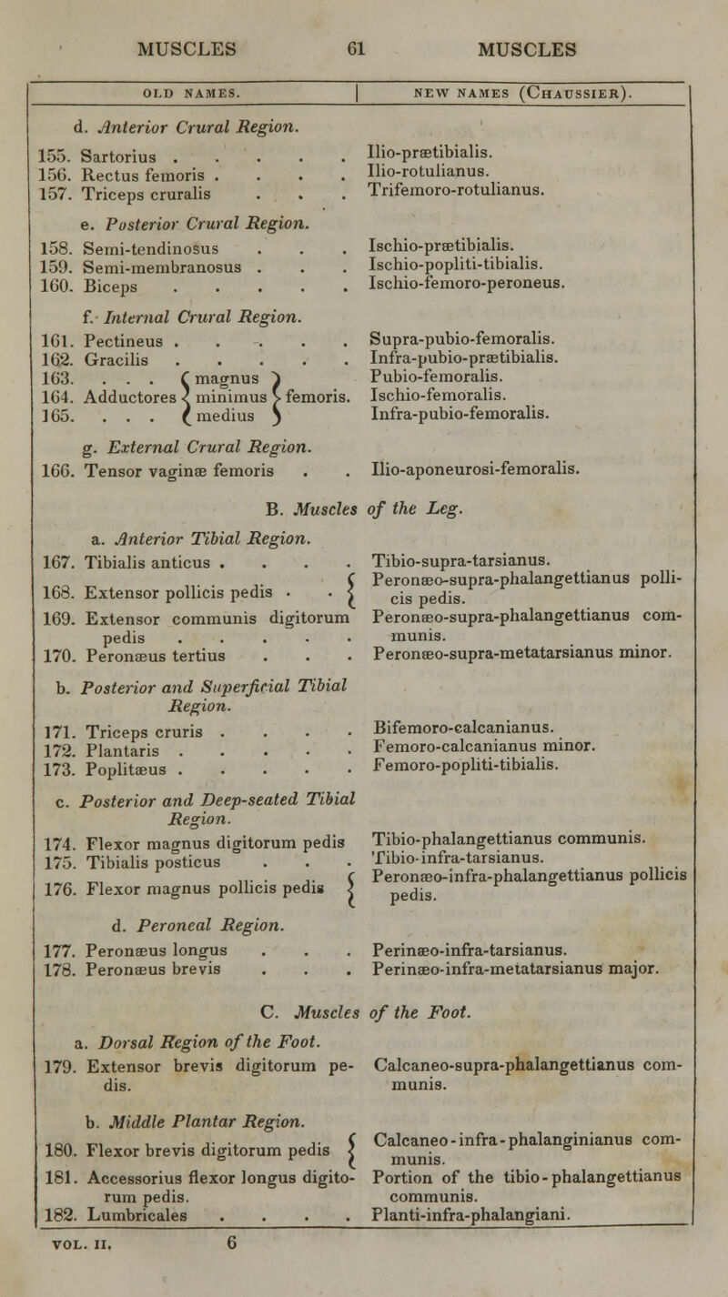 OLD NAMES. NEW NAMES (ChAUSSIER). d. Anterior Crural Region. 155. Sartorius ..... 156. Rectus femoris .... 157. Triceps cruralis e. Posterior Crural Region. 158. Serni-tendinosus 159. Semi-membranosus . 160. Biceps . . . . . f. Internal Crural Region. 161. Pectineus . 162. Gracilis . . . . . 163. ... C magnus ~1 164. Adductores < minimus V femoris. 165. ... f medius N Ilio-praetibialis. Ilio-rotulianus. Trifemoro-rotulianus. Ischio-prae tibialis. Ischio-popliti-tibialis. Ischio-femoro-peroneus. Supra-pubio-femoralis. Infra-pubio-prae tibialis. Pubio-femoralis. Ischio-femoralis. Infra-p ubio-femoralis. g. External Crural Region. 166. Tensor vagina? femoris B. Muscles a. Anterior Tibial Region. 167. Tibialis anticus .... 168. Extensor pollicis pedis . 169. Extensor communis digitorum pedis . 170. Peronaeus tertius b. Posterior and Superficial Tibial Region. 171. Triceps cruris .... 172. Plantaris 173. Poplitaeus c. Posterior and Deep-seated Tibial Region. 174. Flexor magnus digitorum pedis 175. Tibialis posticus 176. Flexor magnus pollicis pedis ) d. Peroneal Region. 177. Peronaeus longus 178. Peronaeus brevis Ilio-aponeurosi-femoralis. of the Leg. Tibio-supra-tarsianus. Peronaeo-supra-phalangettian us polli- cis pedis. Peroneeo-supra-phalangettianua com- munis. Peronaeo-supra-metatarsianus minor. Bifemoro-calcanianus. Femoro-calcanianus minor. Femoro-popliti-tibialis. Tibio-phalangettianus communis. Tibio- infra-tarsianus. Peronaeo-infra-phalangettianus pollicis pedis. Perinaeo-infra-tarsianus. Perinaeo-infra-metatarsianus major. C Muscles of the Foot. a. Dorsal Region of the Foot. 179. Extensor brevis digitorum pe- dis. b. Middle Plantar Region. 180. Flexor brevis digitorum pedis < 181. Accessorius flexor longus digito- rum pedis. 182. Lumbricales .... Calcaneo-supra-phalangettianus com- munis. Calcaneo - infra- phalanginianus com- munis. Portion of the tibio-phalangettianus communis. Planti-infra-phalangiani.