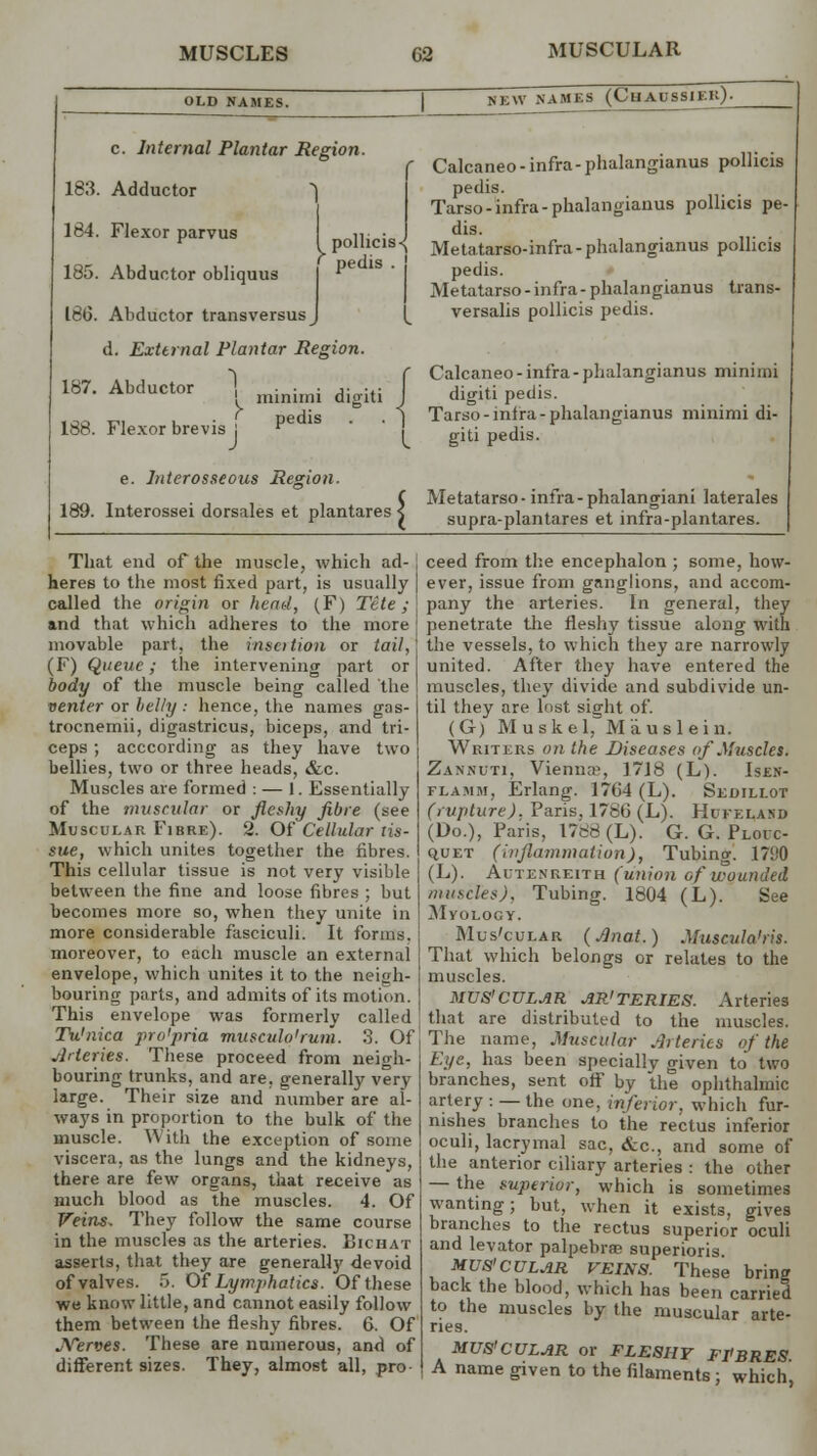 OLD NAMES. NEW NAMES (ChAUSSIF.k). c. Internal Plantar Region. l 183. Adductor 164. Flexor parvus 185. Abductor obliquus 186. Abductor transversus d. External Plantar Region pollicis < pedis . ! 1 187. Abductor 188. Flexor brevis ! minimi dijviti pedis 'J I e. Interosseous Region. 189. Interossei dorsales et plantares j Calcaneo- infra-phalangianus pollicis pedis. Tarso-infra-phalangianus pollicis pe- dis. Metatarso-infra-phalangianus pollicis pedis. Metatarso-infra-phalangianus trans- versalis pollicis pedis. Calcaneo-infra-phalangianus minimi digiti pedis. Tarso-infra-phalangianus minimi di- giti pedis. Metatarso- infra -phalangiani laterales supra-plantares et infra-plantares. That end of the muscle, which ad- heres to the most fixed part, is usually called the origin or head, (F) Tcte ; and that which adheres to the more movable part, the insertion or tail, (F) Queue; the intervening part or body of the muscle being called the venter or belly : hence, the names gas- trocnemii, digastricus, biceps, and tri- ceps ; acccording as they have two bellies, two or three heads, &c. Muscles are formed : — 1. Essentially of the muscular or fleshy fibre (see Muscular Fibre). 2. Of Cellular tis- sue, which unites together the fibres. This cellular tissue is not very visible between the fine and loose fibres ; but becomes more so, when they unite in more considerable fasciculi. It forms. moreover, to each muscle an external envelope, which unites it to the neigh- bouring parts, and admits of its motion. This envelope was formerly called Tu'nica pro'pria musculo'rum. 3. Of Arteries. These proceed from neigh- bouring trunks, and are, generally very large. Their size and number are al- ways in proportion to the bulk of the muscle. With the exception of some viscera, as the lungs and the kidneys, there are few organs, that receive as much blood as the muscles. 4. Of Veins. They follow the same course in the muscles as the arteries. Bicbat asserts, that they are generally devoid of valves. 5. Of Lymphatics. Of these we know little, and cannot easily follow them between the fleshy fibres. 6. Of JVerves. These are numerous, and of different sizes. They, almost all, pro ceed from the encephalon ; some, how- ever, issue from ganglions, and accom- pany the arteries. In general, they penetrate the fleshy tissue along with the vessels, to which they are narrowly united. After they have entered the muscles, they divide and subdivide un- til they are lost sight of. (G) Muskel, Mauslein. Writers on the Diseases of Muscles. Zannuti, Vienna?, 1718 (L). Isen- flamm, Erlang. 1764 (L). Sedillot (rupture), Paris. 1786 (L). Hufeland (Do.), Paris, 1788 (L). G. G. Ploic- quet (inflammation), Tubing. 17H0 (L). Autenreith (union ofwounded muscles). Tubing. 1804 (L). See Myology. Mus'cular (Anat.) Muscula'ris. That which belongs or relates to the muscles. MUS'CULAR AR'TERIES. Arteries that are distributed to the muscles. The name, Muscular Arteries of the Eye, has been specially given to two branches, sent off by the ophthalmic artery : — the one, inferior, which fur- nishes branches to the rectus inferior oculi, lacrymal sac, &c, and some of the anterior ciliary arteries : the other — the superior, which is sometimes wanting; but, when it exists, gives branches to the rectus superior oculi and levator palpebral superioris MUS'CULAR VEINS. These bring back the blood, which has been carried to the muscles by the muscular arte- ries. MUS'CULAR or FLESHY FIBRES A name given to the filaments; which',