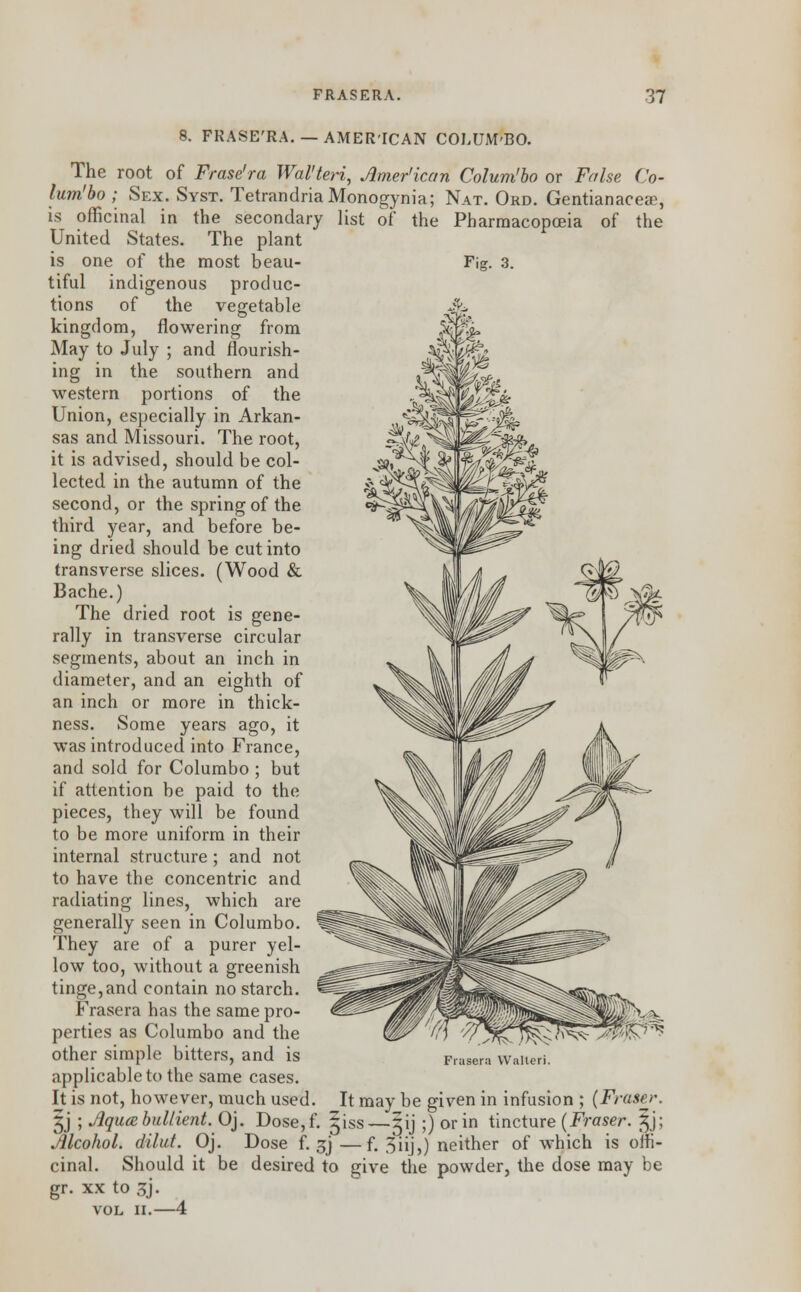 8. FRASE'RA. —AMERICAN COLUM'BO. The root of Frase'ra Wal'teri, Amer'ican Colum'bo or False Co- lum'bo ; Sex. Syst. TetrandriaMonogynia; Nat. Ord. Gentianacese, is officinal in the secondary list of the Pharmacopoeia of the United States. The plant is one of the most beau- Fig. 3. tiful indigenous produc- tions of the vegetable kingdom, flowering from May to July ; and flourish- ing in the southern and western portions of the Union, especially in Arkan- sas and Missouri. The root, it is advised, should be col- lected in the autumn of the second, or the spring of the third year, and before be- ing dried should be cut into transverse slices. (Wood & Bache.) The dried root is gene- rally in transverse circular segments, about an inch in diameter, and an eighth of an inch or more in thick- ness. Some years ago, it was introduced into France, and sold for Columbo ; but if attention be paid to the pieces, they will be found to be more uniform in their internal structure; and not to have the concentric and radiating lines, which are generally seen in Columbo. They are of a purer yel- low too, without a greenish tinge,and contain no starch. Frasera has the same pro- perties as Columbo and the other simple bitters, and is applicable to the same cases. It is not, however, much used. It may be given in infusion ; (Fraser. 5j ; Aquabullient. Oj. Dose,f. §iss—§ij ;) or in tincture (Fraser. 5J; Alcohol, dilut. Oj. Dose f. £j—f. 5iij,) neither of which is offi- cinal. Should it be desired to give the powder, the dose may be gr. xx to 3J. VOL II.—4