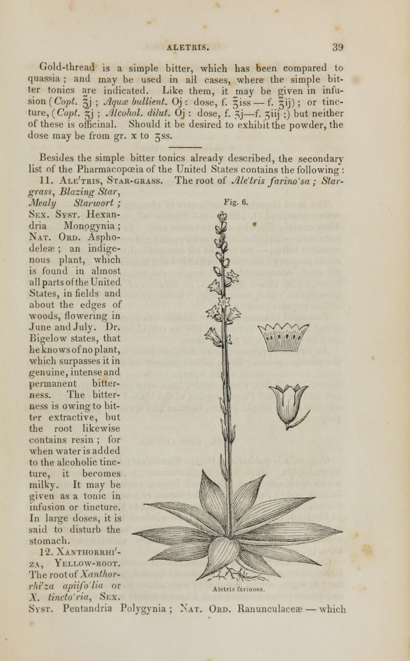 Gold-thread is a simple bitter, which has been compared to quassia; and may be used in all cases, where the simple bit- ter tonics are indicated. Like them, it may be given in infu- sion [Copt, ^j ; Jlquce bullient. Oj : dose, f. jiss — f. 5ij) ; or tinc- ture, (Copt, ^j ; Jllcohol. dilut. Oj : dose, f. ^j—f. giij ;) but neither of these is officinal. Should it be desired to exhibit the powder, the dose may be from gr. x to gss. Besides the simple bitter tonics already described, the secondary list of the Pharmacopoeia of the United States contains the following : 11. Ale'tris, Star-grass. The root of Ale'tris farino'sa; Star- grass, Blazing Star, Mealy Starwort ; Sex. Syst. Hexan- dria Monogynia; Nat. Ord. Aspho- delese ; an indige- nous plant, which is found in almost all parts of the United States, in fields and about the edges of woods, flowering in June and July. Dr. Bigelow states, that he knows of no pi ant, which surpasses it in genuine, intense and permanent bitter- ness. The bitter- ness is owing to bit- ter extractive, but the root likewise contains resin ; for when water is added to the alcoholic tinc- ture, it becomes milky. It may be given as a tonic in infusion or tincture. In large doses, it is said to disturb the stomach. 12. Xanthorrhi'- v.k, Yellow-root. The root of Xanthor- rhi'za apiifo'lia or X. tincto'ria, Sex. Svst. Pentandria Polygynia ; Aletris farinosa. Nat. Ord. Ranunculaceae — which