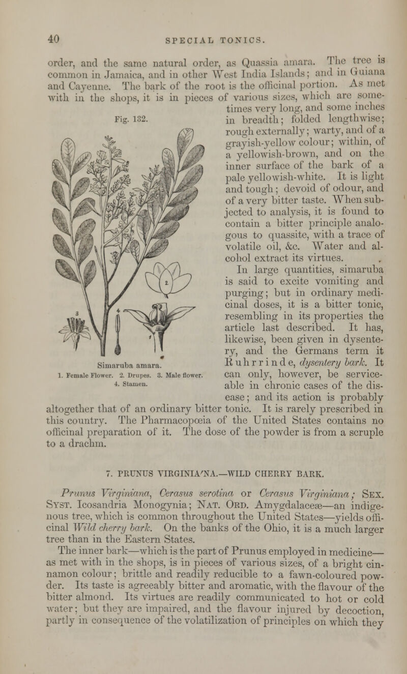 order, and the same natural order, as Quassia amara. The tree is common in Jamaica, and in other Wesl [ndia [slands; and in Guiana and Cayenne The bark of the root is the officinal portion. A.S met with in the shops, it is in pieces of various sizes, which are some- times very long, and some inches Fig. 132. in breadth; folded lengthwise; rough externally; warty, and of a grayish-yellow colour; within, of a yellowish-brown, and on the inner surface of the bark of a pale yellowish-white. It is light £ ^K^I^^^^^^ali^lB and tough; devoid of odour, and ^ r!dBIM '^^%wwll^4Kr of a very bitter taste. Whensub- jeeted to analysis, it is found to contain a bitter principle analo- gous to quassite, with a trace of volatile oil, &c. Water and al- cohol extract its virtues. In large quantities, simaruba is said to excite vomiting and purging; but in ordinary medi- cinal doses, it is a bitter tonic, resembling in its properties the article last described. It has, likewise, been given in dysente- ry, and the Germans term it Ruhrrinde, dysentery bark. It can only, however, be service- able in chronic cases of the dis- ease ; and its action is probably altogether that of an ordinary bitter tonic. It is rarely prescribed in this country. The Pharmacopoeia of the United States contains no officinal preparation of it. The dose of the powder is from a scruple to a drachm. Simaruba amara. 1. Female Flower. 2. Drupes. 3. Male flower. 4. Stamen. 7. PRUNUS VIRGINIA'NA.—WILD CHERRY BARK. Prunus Virginiana, Cerasus serotina or Cerasus Yirgmiana ; Sex. Syst. Icosandria Monogynia; Nat. Ord. Amygdalaceae—an indige- nous tree, which is common throughout the United States—yields offi- cinal Wild cherry bark. On the banks of the Ohio, it is a much larger tree than in the Eastern States. The inner bark—which is the part of Prunus employed in medicine— as met with in the shops, is in pieces of various sizes, of a bright cin- namon colour; brittle and readily reducible to a fawn-coloured pow- der. Its taste is agreeably bitter and aromatic, with the flavour of the bitter almond. Its virtues are readily communicated to hot or cold water; but they are impaired, and the flavour injured by decoction partly in consequence of the volatilization of principles on which they