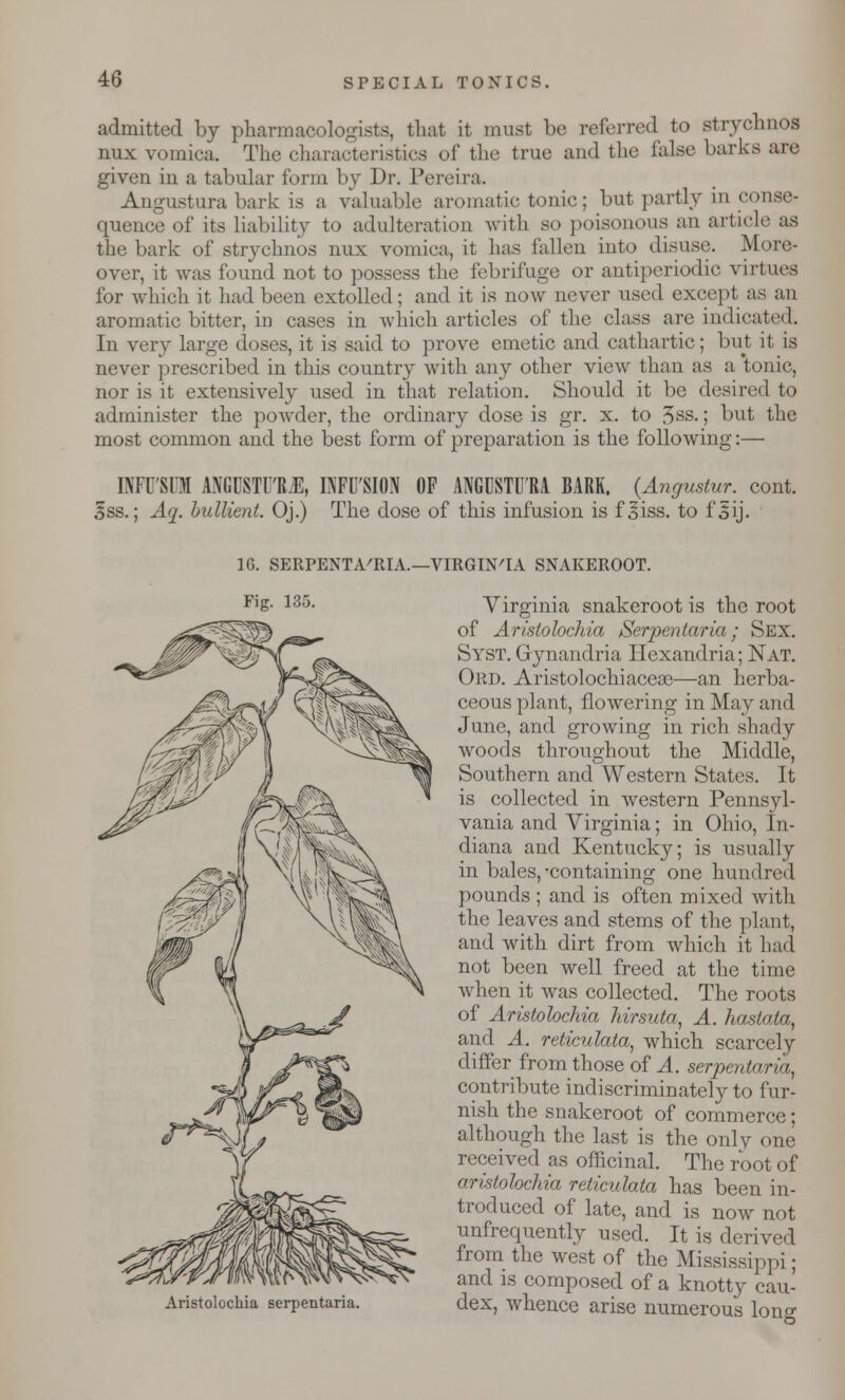 admitted by pharmacologists, that it must bo referred to strychnos mix vomica. The characteristics of the true and the false barks are given in a tabular form by Dr. Pereira. August 11 ra bark is a valuable aromatic tonic; but partly inconse- quence of its liability to adulteration with so poisonous an article as the bark of strychnos mix vomica, it has fallen into disuse. More- over, it was found not to possess the febrifuge or antiperiodic virtues for which it had been extolled ; and it is now never used except as an aromatic bitter, in cases in which articles of the class are indicated. In very large doses, it is said to prove emetic and cathartic; but it is never prescribed in this country with any other view than as a tonic, nor is it extensively used in that relation. Should it be desired to administer the powder, the ordinary dose is gr. x. to 3ss.; but the most common and the best form of preparation is the following:— IMT'Sni ANGCSTIM, INFUSION OF ANGOSTURA BARK. {Angustur. cont. 3ss.; Aa. bullient. Oj.) The dose of this infusion is fsiss. to fsij. 16. SERPENTA'RIA.—VIRGINIA SNAKEROOT. Fig. 135. Aristolochia serpentaria. Virginia snakerootis the root of Aristolochia Serpentaria; Sex. Syst. Gynandria Hexandria; Nat. Ord. Aristolochiaceae—an herba- ceous plant, flowering in May and June, and growing in rich shady woods throughout the Middle, Southern and Western States. It is collected in western Pennsyl- vania and Virginia; in Ohio, In- diana and Kentucky; is usually in bales,-containing one hundred pounds ; and is often mixed with the leaves and stems of the plant, and with dirt from which it had not been well freed at the time when it was collected. The roots of Aristolochia hirsuta, A. hastata, and A. reticulata, which scarcely differ from those of A. serpentaria, contribute indiscriminately to fur- nish the snakeroot of commerce; although the last is the only one received as officinal. The root of aristolochia reticulata has been in- troduced of late, and is now not unfrequently used. It is derived from the west of the Mississippi; and is composed of a knotty cau- dex, whence arise numerous lono-