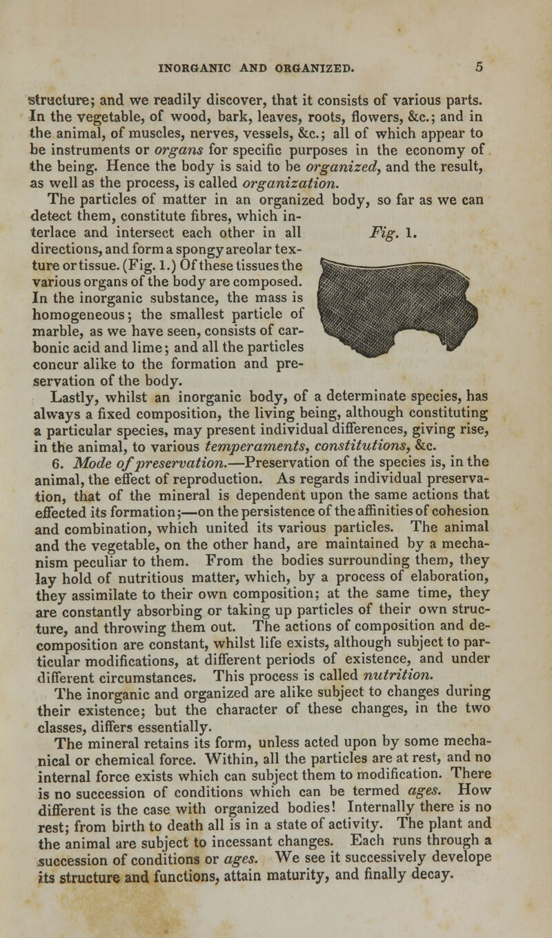 structure; and we readily discover, that it consists of various parts. In the vegetable, of wood, bark, leaves, roots, flowers, &c; and in the animal, of muscles, nerves, vessels, &c; all of which appear to be instruments or organs for specific purposes in the economy of the being. Hence the body is said to be organized, and the result, as well as the process, is called organization. The particles of matter in an organized body, so far as we can detect them, constitute fibres, which in- terlace and intersect each other in all Fig. 1. directions, and form a spongy areolar tex- ture or tissue. (Fig. 1.) Of these tissues the various organs of the body are composed. In the inorganic substance, the mass is homogeneous; the smallest particle of marble, as we have seen, consists of car- bonic acid and lime; and all the particles concur alike to the formation and pre- servation of the body. Lastly, whilst an inorganic body, of a determinate species, has always a fixed composition, the living being, although constituting a particular species, may present individual differences, giving rise, in the animal, to various temperaments, constitutions, &c. 6. Mode of preservation.—Preservation of the species is, in the animal, the effect of reproduction. As regards individual preserva- tion, that of the mineral is dependent upon the same actions that effected its formation;—on the persistence of the affinities of cohesion and combination, which united its various particles. The animal and the vegetable, on the other hand, are maintained by a mecha- nism peculiar to them. From the bodies surrounding them, they lay hold of nutritious matter, which, by a process of elaboration, they assimilate to their own composition; at the same time, they are constantly absorbing or taking up particles of their own struc- ture, and throwing them out. The actions of composition and de- composition are constant, whilst life exists, although subject to par- ticular modifications, at different periods of existence, and under different circumstances. This process is called nutrition. The inorganic and organized are alike subject to changes during their existence; but the character of these changes, in the two classes, differs essentially. The mineral retains its form, unless acted upon by some mecha- nical or chemical force. Within, all the particles are at rest, and no internal force exists which can subject them to modification. There is no succession of conditions which can be termed ages. How different is the case with organized bodies! Internally there is no rest; from birth to death all is in a state of activity. The plant and the animal are subject to incessant changes. Each runs through a succession of conditions or ages. We see it successively develope its structure and functions, attain maturity, and finally decay.