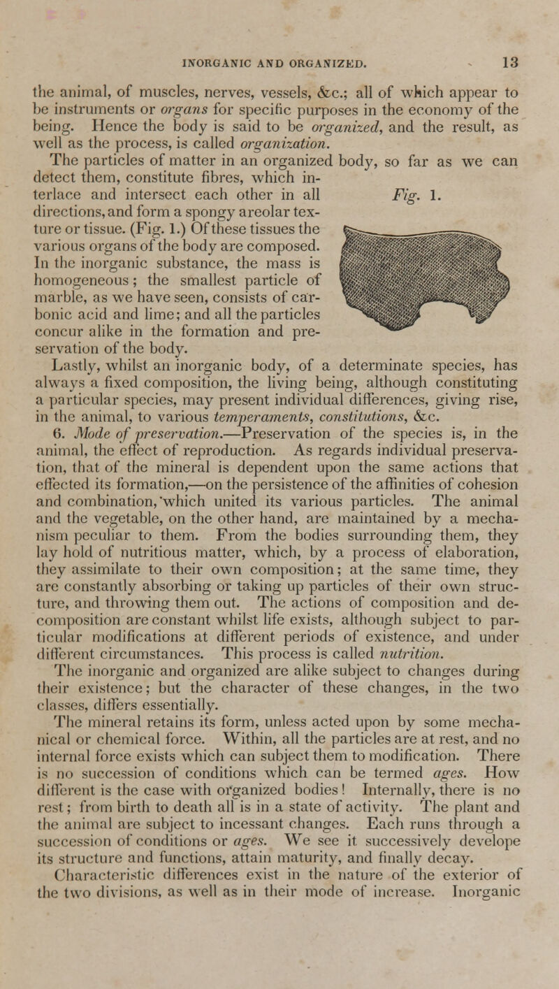 the animal, of muscles, nerves, vessels, &c; all of which appear to be instruments or organs for specific purposes in the economy of the being. Hence the body is said to be organized, and the result, as well as the process, is called organization. The particles of matter in an organized body, so far as we can detect them, constitute fibres, which in- terlace and intersect each other in all Fig. 1. directions, and form a spongy areolar tex- ture or tissue. (Fig. 1.) Of these tissues the various organs of the body are composed. In the inorganic substance, the mass is homogeneous; the smallest particle of marble, as we have seen, consists of car- bonic acid and lime; and all the particles concur alike in the formation and pre- servation of the body. Lastly, whilst an inorganic body, of a determinate species, has always a fixed composition, the living being, although constituting a particular species, may present individual differences, giving rise, in the animal, to various temperaments, constitutions, &c. 6. Mode of preservation.—Preservation of the species is, in the animal, the effect of reproduction. As regards individual preserva- tion, that of the mineral is dependent upon the same actions that effected its formation,—on the persistence of the affinities of cohesion and combination,'which united its various particles. The animal and the vegetable, on the other hand, are maintained by a mecha- nism peculiar to them. From the bodies surrounding them, they lay hold of nutritious matter, which, by a process of elaboration, they assimilate to their own composition; at the same time, they are constantly absorbing or taking up particles of their own struc- ture, and throwing them out. The actions of composition and de- composition are constant whilst life exists, although subject to par- ticular modifications at different periods of existence, and under different circumstances. This process is called nutrition. The inorganic and organized are alike subject to changes during their existence; but the character of these changes, in the two chisses, differs essentially. The mineral retains its form, unless acted upon by some mecha- nical or chemical force. Within, all the particles are at rest, and no internal force exists which can subject them to modification. There is no succession of conditions which can be termed ages. How different is the case with organized bodies! Internally, there is no rest; from birth to death all is in a state of activity. The plant and the animal are subject to incessant changes. Each runs through a succession of conditions or ages. We see it successively develope its structure and functions, attain maturity, and finally decay. Characteristic differences exist in the nature of the exterior of the two divisions, as well as in their mode of increase. Inorganic