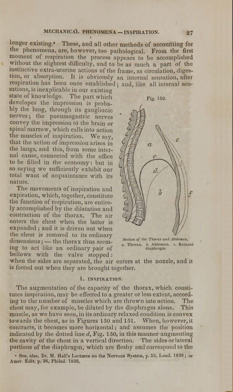 Fig. 150. longer existing.8 These, and all other methods of accounting for the phenomena, are, however, too pathological. From the first moment of respiration the process appears to be accomplished without the slightest difficulty, and to be as much a part of the instinctive extra-uterine actions of the frame, as circulation, diges- tion, or absorption. It is obviously an internal sensation, after respiration has been once established; and, like all internal sen- sations, is inexplicable in our existing state of knowledge. The part which developes the impression is proba- bly the lung, through its ganglionic nerves; the pneumogastric nerves convey the impression t6 the brain or spinal marrow, which calls into action the muscles of inspiration. We say, that the action of impression arises in the lungs, and this, from some inter- nal cause, connected with the office to be filled in the economy: but in so saying we sufficiently exhibit our total want of acquaintance with its nature. The movements of inspiration and expiration, which, together, constitute the function of respiration, are entire- ly accomplished by the dilatation and contraction of the thorax. The air enters the chest when the latter is expanded; and it is driven out when the chest is restored to its ordinary dimensions; — the thorax thus seem- ing to act like an ordinary pair of bellows with the valve stopped: when the sides are separated, the air enters at the nozzle, and it is forced out when they are brought together. 1. INSPIRATION. The augmentation of the capacity of the thorax, which consti- tutes inspiration, may be effected to a greater or less extent, accord- ing to the number of muscles which are thrown into action. The chest may, for example, be dilated by the diaphragm alone. This muscle, as we have seen, in its ordinary relaxed condition is convex towards the chest, as in Figures 150 and 151. When, however, it contracts, it becomes more horizontal; and assumes the position indicated by the dotted line d, Fig. 150, in this manner augmenting the cavity of the chest in a vertical direction. The sides or lateral portions of the diaphragm, which are fleshy and correspond to the » See, also, Br. M. Hall's Lectures on the Nervous System, p. 55, Lond. 1836; or Amer. Edit. p. 36, Philad. 1836. Itf Section of the Thorax and Jlbdomen. i. Thorax, b. Abdomen, c. Relaxed diaphragm.