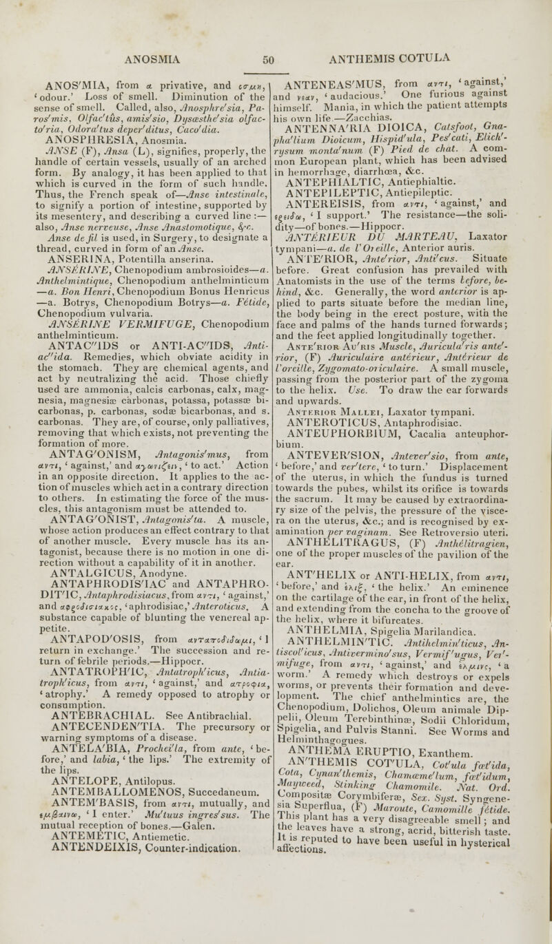 ANOS'MIA, from a. privative, and ca-ux, 'odour.' Loss of smell. Diminution of the sense of smell. Called, also, Anosphre'sia, Pa- ros'mis, Olfac'tus, amis'sio, Dysasthc'sia olfac- to'ria, Odora'tus dcper'ditus, Caco'dia. ANOSPHRESIA, Anosmia. AJVSE (F), Ansa (L), signifies, properly, the handle of certain vessels, usually of an arched form. By analogy, it has been applied to that which is curved in the form of such handle. Thus, the French speak of—Arise intestinale, to signify a portion of intestine, supported by its mesentery, and describing a curved line :— also, Arise nerveuse, Arise Anastomotiquc, fyr,. Anse defd is used, in Surgery, to designate a thread, curved in form of an Anse. ANSER1NA, Potentilla anserina. ANSERINE, Chenopodium ambrosioides—a. Antkclmintique, Chenopodium anthelminticum —a. Bon Henri, Chenopodium Bonus Henricus —a. Botrys, Chenopodium Botrys—a. Fitidc, Chenopodium vulvaria. ANSERINE VERMIFUGE, Chenopodium anthelminticum. ANTACIDS or ANTI-ACIDS, Anti- acida. Remedies, which obviate acidity in the stomach. They are chemical agents, and act by neutralizing the acid. Those chiefly used are ammonia, calcis carbonas, calx, mag- nesia, magnesia; carbonas, potassa, potassa? bi- carbonas, p. carbonas, soda; bicarbonas, and s. carbonas. They are, of course, only palliatives, removing that which exists, not preventing the formation of more. ANTAG'ONISM, Antagonis'mus, from ctvrt, ' against,' and a.juvi£u\, ' to act.' Action in an opposite direction. It applies to the ac- tion of muscles which act in a contrary direction to others. In estimating the force of the mus- cles, this antagonism must be attended to. ANTAG'ONIST, Anlugonis'ta. A muscle, whose action produces an effect contrary to that of another muscle. Every muscle has its an- tagonist, because there is no motion in one di- rection without a capability of it in another. ANTALGICUS, Anodyne. ANTAPHRODIS'IAC and ANTAPHRO- DIT'IC, Antaphrodisiacus, from avrt, ' against,' and apgcJV/attic. 'aphrodisiac,' Antcroticus. A substance capable of blunting the venereal ap- petite. ANTAPOD'OSIS, from avraW/JV/, ' I return in exchange.' The succession and re- turn of febrile periods.—Hippocr. ANTATROPHTC, Antatroph'icus, Antia- troph'icus, from avti, ' against,' and arpoqix, ' atrophy.' A remedy opposed to atrophy or consumption. ANTEBRACHIAL. See Antebrachial. ANTECENDEN'TIA. The precursory or warning symptoms of a disease. ANTELA'BIA, Prochei'la, from ante, 'be- fore,' and labia, ' the lips.' The extremity of the lips. ANTELOPE, Antilopus. ANTEMBALLOMENOS, Succedaneum. ANTEM'BASIS, from «vt<, mutually, and tjufixtvai, ' 1 enter.' Mu'tuus ingres'sus. The mutual reception of bones.—Galen. ANTEMETIC, Antiemetic. ANTENDEIXIS, Counter-indication. ANTENEAS'MUS, from *vt/, 'against, and h*v, 'audacious.' One furious against himself. Mania, in which the patient attempts his own life.—Zacchias. ANTENNA'RIA DIOICA, Calsfoot, Gna- pha'lium Dioicum, Hispid'ula, Pes'cati, Elich'- rysum monta'num (F) Pied de chat. A com- mon European plant, which has been advised in hemorrhage, diarrhoea, &c. ANTEPHIALTIC, Antiephialtic. ANTEP1LEPT1C, Antiepileptic. ANTEREIS1S, from a.vri, ' against,' and i^uSus, ' I support.' The resistance—the soli- dity—of bones.—Hippocr. ANTERIEUR DU MARTEAU. Laxator tympani—a. de VOreille, Anterior auris. ANTE'RIOR, Ante'rior, And'cus. Situate before. Great confusion has prevailed with Anatomists in the use of the terms leforc, be- hind, &c. Generally, the word anterior is ap- plied to parts situate before the median line, the body being in the erect posture, with the face and palms of the hands turned forwards; and the feet applied longitudinally together. Ante'rior Au'ris Muscle, Auricula'ris ante'- rior, (F) Auriculaire anttrieur, Anttrieur de Vorcillc, Zygomato-07iculaire. A small muscle, passing from the posterior part of the zygoma to the helix. Use. To draw the ear forwards and upwards. Antkrior Mallei, Laxator tympani. ANTEROTICUS, Antaphrodisiac. ANTEUPHORB1UM, Cacalia anteuphor- bium. ANTEVER'SION, Antever'sio, from ante, ' before,' and ver'terc, ' to turn.' Displacement of the uterus, in which the fundus is turned towards the pubes, whilst its orifice is towards the sacrum. It may be caused by extraordina- ry size of the pelvis, the pressure of the visce- ra on the uterus, &c; and is recognised by ex- amination per vaginam. See Retroversio uteri. ANTHEL1TRAGUS, (F) AntMlitragien, one of the proper muscles of the pavilion of the ear. ANT'HELIX or ANTI-HELIX, from *Vt/, 'before,'and s*/|. 'the helix.' An eminence on the cartilage of the ear, in front of the helix, and extending from the concha to the groove of the helix, where it bifurcates. ANTHELMIA, Spigelia Marilandica. ANTHELMINTIC. Antihclmin'ticus, An- liscvl'icus, Antivermino'sus, Vermif'vgus, Vei'- mifuge, from «»«, ' against,' and tx/uiv;, ' a worm.' A remedy which destroys or expels worms, or prevents their formation and deve- lopment. The chief anthelmintics are, the Chenopodium, Dolichos, Oleum animate Dip- pelu, Oleum Terebinthinae, Sodii Chloridum, Spigelia, and Pulvis Stanni. See Worms and Helminthagogues. C'ota, Mayweed., Stinking Chamomile. JYat. Ord. Composites Corymbiferce, Sex. Syst. Synsrene- aflect'ePUted l° haVC bCen USeful in hysterical