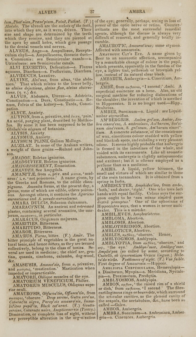 ium,Phat'nion,Pra'.se'pium,PatnS,PathnS. (F.) Alvdole. The alveoli are the sockets of the teeth, into which they are, as it were, driven. Their size and shape are determined by the teeth which they receive, and they are pierced at the apex by small holes, which give passage to the dental vessels and nerves. ALVEUS, Auge—a. Ampullosus, Recepta- culum chyli—a. Ampullescens, thoracic duct— a. Communis: see Semicircular canals—a. Utriculosus: see Semicircular canals. ALVI EXCRETIO, Defecation—a. Fluxus aquosus, Diarrhoea—a. Pronuvium, Diarrhcea. ALVIDUCUS, Laxative. ALVINE, Alvi'nus, from ahus, 'the abdo- men.' That which relates to the lower belly, as alvine dejections, alvine flux, alvine obstruc- tions, (q. v.) &c. ALVUS, Abdomen, Uterus—a. Adstricta, Constipation—a. Dura, Constipatio—a. Re- num, Pelvis of the kidney—a. Tarda, Consti- pation. ALYCE, Anxiety. AL'YPON, from a, privative, and Xvrrr„ 'pain.' An acrid, purging plant, described by Matthio- lus. By some it has been supposed to be the Globula'ria alypum of botanists. ALYS1S, Anxiety. ALYSMUS, Anxiety. ALYSSUM PL1NII, Galium Mollugo. AL'ZILAT. In some of the Arabian writers, a weight of three grains.—Ruland and John- son. AMADOU, Boletus igniarius. AMADOUVIER, Boletus igniarius. AMA1GRISSEMENT, Emaciation. AMAJYDES, See Amygdala. AMANI'TJE, from a, priv. and uarta, 'mad- ness:' i. e. ' not poisonous.' A name given, by the Greeks and Romans, to the edible cham- pignons. Amanita forms, at the present day. a genus, some of which are edible, others poison- ous. Amongst others, it contains the Agaricus aurantiaens and A. pseudo-auruntiacus. AMARA DULCIS, Solanum dulcamara. AMARACl'NUM. An ancient and esteemed plaster, containing several aromatics, the mar- joram, aiiuQcxxoc, in particular. AMARACUS, Origanum majorana. AMAR1TIES. Bitterness. AMARITUDO, Bitterness. AMAROR, Bitterness. AMA'RUS, Picros, bitter. (F.) Amer. The bitter principle of vegetables is the great na- tural tonic,and hence bitters, as they are termed collectively, belong to the class of tonics. Se- veral are used in medicine; the chief are, gen- tian, quassia, cinchona, calumba, dog-wood, AMASE'SIS, Amassc'sis, from a, privative, and fiuorjOt?, 'mastication.' Mastication when impeded or impracticable. AMATORII, Oblique muscles of the eye. AMATOR1UM VENEFIC1UM, Philter. AMATORIUS MUSCULUS, Obliquus supe- rior oculi. AMAURO'SIS, Obfurca'tio, Offusca'tio, from auavQoc, 'obscure.' Drop serene, Gutta sere'na, Catarac'ta nigra, Parop'sis amaurosis, Immo- bil'itas pvpil'lse, Black cut'aract. (F.) Goutle- sercine, Cataracte noire, Anopticnnervie (Piorry.) Diminution, or complete loss of sight, without any perceptible alteration in the organization of the eye; generally, perhaps, owing to loss of power of the optic nerve or retina. Counter- irritants are the most successful remedial agents, although the disease is always very difficult of removal, and generally totally in- curable. AMAUROTIC, Amaurot'icus; same etymon. Affected with amaurosis. Amaurotic Cat's Eye. A name given by Beer to an amaurotic affection, accompanied by a remarkable change of colour in the pupil, which presents, apparently in the fundus of the eye, a lighter tint, yellowish or brownish yel- low, instead of its natural clear black. AMBARUM, Ambergris—a. Cineritium, Am- bergris. _ AMBE, from au(iairw, ' I ascend;' Ambi. A superficial eminence on a bone. Also, an old surgical machine for reducing dislocations of the shoulder; the invention of which is ascribed to Hippocrates. It is no longer used.—Hipp., Scultetus. AMBER, Succinum—a. Liquid: seeLiquid- ambar styraciflua. AM'BERGRIS. Ambra gri'sea, Ambor,Am- bra cinera'cea, A. ambrosiaca, Ain'barum, Suc'ci- num cine'reum, S. gri'seum, Ain'barum eincri- tium. A concrete substance, of the consistence of wax, cineritious colour studded with yellow and blackish spots, and exhaling a very pleasant odour. It seems highly probable that ambergris is formed in the intestines of the whale, and voided with its excrements. Like all aromatic substances, ambergris is slightly antispasmodic and excitant; but it is oftener employed as a perfume than as a medicine. AMBIA. A liquid, yellow bitumen, the smell and virtues of which are similar to those of the resin tacamahaca. It is obtained from a spring in India. AMBIDEX'TER, Amphidex'ios, from amb<>. 'both,' and dexter, 'right.' One who uses both hands with equal facility. Celsus says the sur- geon ought to be 'non viinus sinistra quam dextrd promptus' One of the aphorisms of Hippocrates says, that a woman is never ambi- dexter. This is a mistake. AMBIL^EVUS, Ampharisteros. AMBLOMA, Abortion. AMBLOSIS, Abortion. AMBLOTHRIDION, Abortion. AMBLOTICUS, Abortive. AMBLUS, xufiXvs, 'obscure.' Hence, AMBLYOGMOS, Amblyopia. AMBLYO'PIA, from au(five, 'obscure,' and unV, 'the eye.' AmblyoJmos, Amblyog'mos, Amplio'pea (so called by some, according to Castelli, oh ignorantiam Grsccas linguae,) Hebe- tu'dovisus. 'Feebleness of sight. (F.) Vuefaible. First degree of Amaurosis.—Hippocr. Amblyopia Crepuscularis, Hemeralopia — a. Dissitorum, Myopia—a. Meridiana, Nyctalo- pia—a. Proximorum, Presbytia. AMBEYOSMOS, Amblyopia. AMBON, appwv, ' the raised rim of a shield or dish,' from aftpaivto, 'I ascend.' The fibro- cartilaginous rings or bourrclets, which surround the articular cavities, as the glenoid cavity of the scapula, the acetabulum, &.c, have been so called —Galen. AMBOR, Ambergris. AMBRA,Succinum—a. Ambrosiaca, Amber- gris—a. Cineracea, Ambergris.