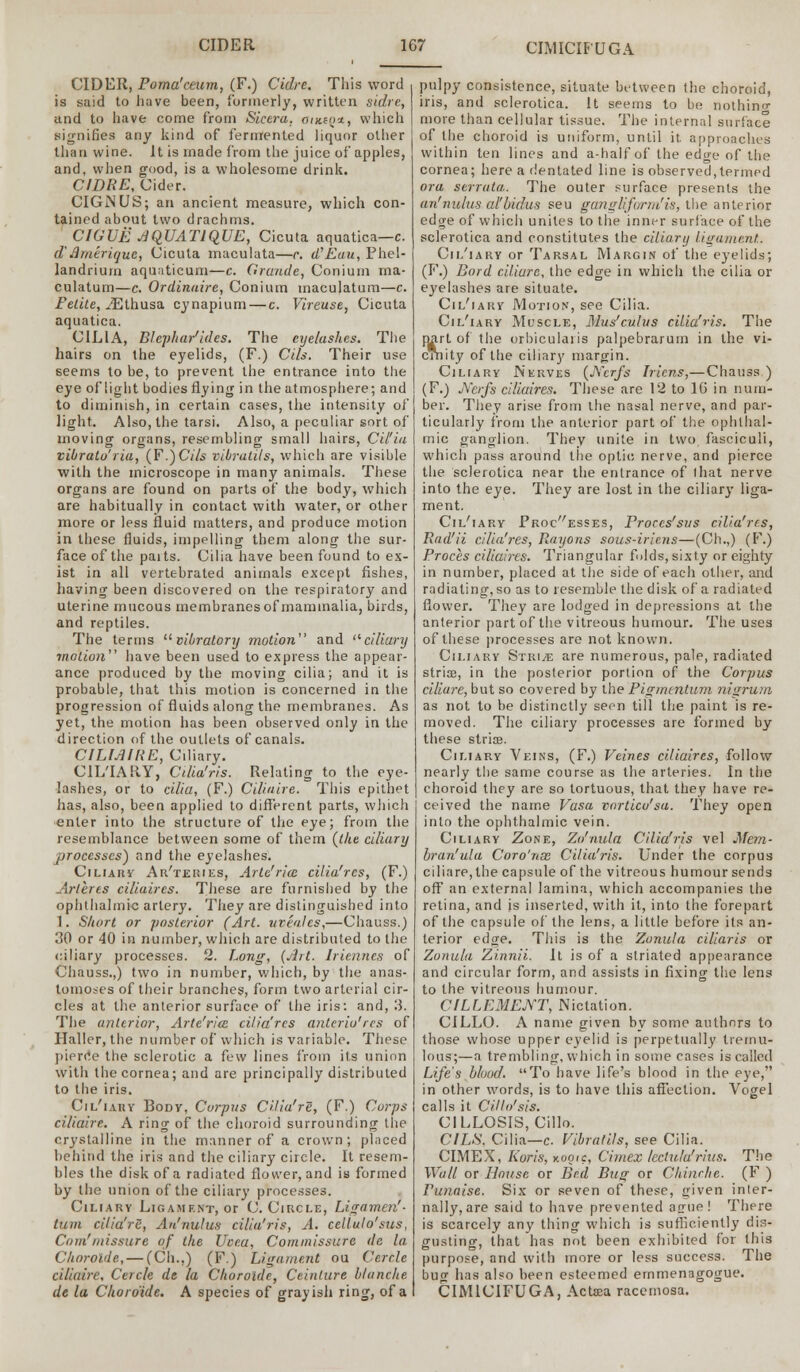 CIMICIB'UGA CIDER, Poma'ceum, (F.) Cidrc. This word is said to have been, formerly, written sidre, and to have come from Sictra. owsq*, which signifies any kind of fermented liquor other than wine. It is made from the juice of apples, and, when good, is a wholesome drink. CIDRE, Cider. CIGNUS; an ancient measure, which con- tained about two drachms. CIGUE JJqUATlQUE, Cicuta aquatica—c. d' Amerique, Cicuta maculata—r. iCEau, Phel- landriurn aquaticum—c. Grande, Conium ma- culatum—c. Ordinaire, Conium maculatum—c. Felite, iEthusa cynapium — c. Vireuse, Cicuta aquatica. CILIA, Blephar'ides. The eye/ashes. The hairs on the eyelids, (F.) Cils. Their use seems to be, to prevent the entrance into the eye of light bodies flying in the atmosphere; and to diminish, in certain cases, the intensity of light. Also, the tarsi. Also, a peculiar sort of moving organs, resembling small hairs, Cil'ia vibrato'ria, (F.)CV/s vibratils, which are visible with the microscope in many animals. These organs are found on parts of the body, which are habitually in contact with water, or other more or less fluid matters, and produce motion in these fluids, impelling them along the sur- face of the paits. Cilia have been found to ex- ist in all vertebrated animals except fishes, having been discovered on the respiratory and uterine mucous membranes of mammalia, birds, and reptiles. The terms vibratory motion and ciliary motion have been used to express the appear- ance produced by the moving cilia; and it is probable, that this motion is concerned in the progression of fluids along the membranes. As yet, the motion has been observed only in the direction of the outlets of canals. CfLMIRE, Ciliary. CIL'IA RY, Cilia'ris. Relating to the eye- lashes, or to cilia, (F.) Ciliaire. This epithet has, also, been applied to different parts, which enter into the structure of the eye; from the resemblance between some of them {the ciliary processes) and the eyelashes. Ciliary Ar'teries, Arte'ria cilia'rcs, (F.) Arleres ciliaircs. These are furnished by the ophthalmic artery. They are distinguished into 1. Short or posterior (Art. uveales,—Chauss.) 30 or 40 in number, which are distributed to the ciliary processes. 2. Long, {Art. Iriennes of Chauss.,) two in number, which, by the anas- tomoses of their branches, form two arterial cir- cles at the anterior surface of the iris: and, 3. The anterior, Arte'ria cilia'rcs anterio'res of Haller, the number of which is variable. These pierrte the sclerotic a few lines from its union with the cornea; and are principally distributed to the iris. Cil'iary Bodv, Corpus CUia're, (F.) Corps ciliaire. A ring of the choroid surrounding the crystalline in the manner of a crown; placed behind the iris and the ciliary circle. It resem- bles the disk of a radiated flower, and is formed by the union of the ciliary processes. Ciliary Ligament, or C. Circle, Ligamen'- turn cilia're, An'riulus cilia'ris, A. cellulo'sus, Com'missure of the Uvea, Commissure dc la Chorolde,— (Ch.,) (F.) Ligament ou Cercle ciliaire, Cercle de la Chorolde, Ceinlure blanche dt la Chordide. A species of grayish ring, of a pulpy consistence, situate between the choroid, iris, and sclerotica. It seems to be nothing more than cellular tissue. The internal surface of the choroid is uniform, until it. approaches within ten lines and a-half of the edge of the cornea; here a dentated line is observed,termed ora serrata. The outer surface presents the an'nultcs al'bidus seu gangkform'is, the anterior edge of which unites to the inner surface of the sclerotica and constitutes the ciliary ligament. Cil'iary or Tarsal Margin of the eyelids; (F.) Bord allure, the edge in which the cilia or eyelashes are situate. Cil'iary Motion, see Cilia. Cil'iary Muscle, Mus'culvs cilia'ris. The part of the orbiculaiis palpebrarum in the vi- cTnity of the ciliary margin. Ciliary Nerves {Ncrfs Iricns,—Chauss) (F.) Nerfs ciliaires. These are 12 to 10 in num- ber. They arise from the nasal nerve, and par- ticularly from the anterior part of the ophthal- mic ganglion. They unite in two fasciculi, which pass around the optic nerve, and pierce the sclerotica near the entrance of lhat nerve into the eye. They are lost in the ciliary liga- ment. Cil'iary Processes, Proccs'sus cilia'rcs, Rad'ii cilia'res, Rayons sous-iriejis—(Ch.,) (F.) Proces ciliaires. Triangular folds, sixty or eighty in number, placed at the side of each other, and radiating, so as to resemble the disk of a radiated flower. They are lodged in depressions at the anterior part of the vitreous humour. The uses of these processes are not known. Ciliary Stride are numerous, pale, radiated stria?, in the poslerior portion of the Corpus ciliare, but so covered by the Pigmtntum nigrum as not to be distinctly seen till the paint is re- moved. The ciliary processes are formed by these strise. Ciliary Veins, (F.) Veines ciliaires, follow nearly the same course as the arteries. In the choroid they are so tortuous, that they have re- ceived the name Vasa vortico'sa. They open into the ophthalmic vein. Ciliary Zone, Zo'nula Cilia'ris vel Mem- bran'ula Coro'nx Cilia'ris. Under the corpus ciliare, the capsule of the vitreous humour sends off an external lamina, which accompanies the retina, and is inserted, with it, into the forepart of the capsule of the lens, a little before its an- terior edge. This is the Zonula ciliaris or Zonula Zinnii. It is of a striated appearance and circular form, and assists in fixing the lens to the vitreous humour. CfLLEMEJYT, Nictation. CILLO. A name given by some authors to those whose upper eyelid is perpetually tremu- lous;—a trembling, wiiich in some cases is called Life's blood. To have life's blood in the eye, in other words, is to have this affection. Vogel calls it Cillo'sis. CILLOSIS, Cillo. CILS. Cilia—c. Vibratils, see Cilia. CIMEX, Koris, koqic, Cimez leclula'rhis. The Wall or House or Bed Bug or Qhinche. (F ) Punnise. Six or seven of these, given inter- nally, are said to have prevented acue ! There is scarcely any thing which is sufficiently dis- gusting, that has not been exhibited for this purpose, and with more or less success. The bug has also been esteemed emmenagogue. CIM1CIFUGA, Ac tea racemosa.