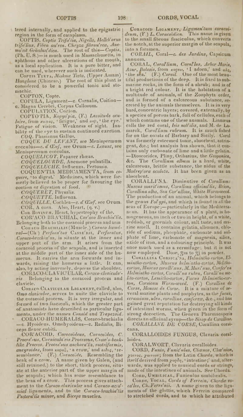 tered internally, and applied to the epigastric region in the form of cataplasm. COPTIS, Coptis Trift/lia, NigeUa, Hclkb'orus ti ifu'litis, Fibra au'reu. Chryza Jibrau'rea, due- mu'nS Gronlan'dica. The root of this—Coptis, (Ph. U. S.)—is much used in Massachusetts, in aphthous and other ulcerations of the mouth, as a local application. It is a pure bitter, and can he used, wherever such is indicated. Coptis Teeta, Mistime Teeta, (Upper Assam) Hongltine (Chinese.) The root of this plant is considered to he a powerful tonic and sto- machic. COPTON, Copte. COPULA, Ligament—c. Carnalis, Coition— c. Maona Cerebri, Corpus Callosum. COPULATION, Coition. COPYO'PIA, Kopyo'pia, (F.) Lassitude ocu-^ hire, from xonog, 'fatigue,' and wxp, 'the eye.' Fatigue of vision. Weakness of sight. Ina- bility of the eye to sustain continued exertion. COQ- Phasianus Callus. COQUE DU LEVANT, see Menispermum cocculus—c. d'CEnf, see Ovum—c. Levant, see Menispermum cocculus. COQUELICOT, Papaver rhceas. COQUELOURDE, Anemone Pulsatilla. COQUELUCHE, Influenza. Pertussis. COQUEiVTIA MEDICAMENTA,, from co- quere, 'to digest.' Medicines, which were for- merly believed to be proper for favouring the coctinn or digestion of food. COQUERET, Physalis. COQUETTE. Influenza. COQUILLE, Cochlea—c.d'(Euf, see Ovum. COR, A corn. Also, Heart, (q. v.) v Cor Bovi.kpm, Heart, hypertrophy of the. COR'ACO BR A'CHIAL, Cor'aco Brachiu'lis. Belonging both to the coracoid ptocess and arm Con »co-Br ichialis (Muscle.) Coraco hume- ral—(Ch ) Perfora'tus Casse'rii, Perforatum, Coraco-bracliise'us, is situate at the inner and upper part of the arm. It arises from the coracoid process of the scapula, and is inserted at the middle part ol the inner side of the hu- merus. It carries the arm forwards and in- wards, raising the humerus a little. It can. also, by acting inversely, depress the shoulder. COKACO-CLA VTC'ULAR, Coraco-davicula'- ris Belonging to the coracoid process and clavicle. Cohaco Clavicular Ligament, called, also, Omo clavicular, serves to unite the clavicle to the coracoid process. It is very irregular, and formed of two fasciculi, which the greater part of anatomists have described as particular liga- ments, under the names Conoid and Trapezoid. CORACO -HUM ERA LIS, Coraco-braehialis — c Hyoideus, Oinohyoideus—c. Radialis, Bi- ceps flexor pubiti. COR'ACOIO, Coracoideus, Cor acuities, C. Proas'>us, Cornicuta'ris Processus, Crate's-beak- tike Process, Proces'sus anchor a'lis, rust) [for mis, anctjroides, from xonul, ' a crow,' and tideg, 'ie- seinhlance.' (F.) Coracoide. Resembling the beak of a crow. A name given by Galen, (and still retained,) to the short, thick process, situ* ate at the anterior part of the upper margin of the scapula; which has some resemblance to the bean of a crow. This process gives attach- ment to the Coraco -clavicular and 'Cora.co-a.trd- mial ligaments, and to the Coraco-bruchia'Us Fedora'lis minor, and Biceps muscles. Coracoid Ligament, Ligamen'lum coracoi- deum, (F.) L. Corucoidien. This name is given to the small fibrous fasciculus, which converts the notch, at the superior margin of the scapula, into a foramen. CORA1L, Coral—c. des Jardins, Capsicum annuum. CORAL, Coral'lium, Coral'lus, Arbor Maris, Azur, Bolesis, from xootoi, ' I adorn,' and uXg, ' the sla.' (F.) Corail. One of the most beau- tiful productions of the deep. It is fixed to sub- marine rocks, in the form of a shrub; and is of a bright red colour. It is the habitation of a multitude of animals, of the Zoophyta order, and is formed of a calcareous substance, se- creied by the animals themselves. It is in very hard,concentric layers; covered, externally, by a species of porous bark, full of cellules, each of which contains one of these animals. Linnaeus calls the red coral, Isis nob1 His, and M. de La- marck, Coral'lium rubruin. It is much fished for on the coasts of Barbary and Sicily. Coral was formerly esteemed tonic, absorbent, astrin- gent, &c; but analysis has shown, that it con- tains only carbonate of lime and a little gelatin. —Dioseorides, Pliny, Oribasius, the Gcoponica, &c. The Cor allium album is a hard, white, calcareous, brittle substance, the nidus of the Madrep'ora oculuta. It has been given as an absorbent. CORALLl'NA. Diminutive of Corallium; Muscus marit'imvs, Corallina officinalis, Brian, Corallina alba, Sea Cor'ulline, While Worm-toeed. The production of an animal, which belongs to the genus Fol'tjpi, and which is found in all the seas of Europe;—particularly in the Medilerra- in an. It has the appearance of a plant, is ho- mogeneous, an inch or two in height, of a white, reddish, or greenish colour, salt taste, and ma- rine smell. It contains gelatin, albumen, chlo- ride of sodium, phosphate, carbonate and sul- phate of lime, carbonate of magnesia, silica, | oxide of iron, and a colouring principle. It was ' once much used as a vermifuge; but it is not j now employed. Dose, ^ss to ^j in powder. Corallina Corsica'na, Helmintlto-carton, El- mintlto-corton, Muscus kelmint/tocortos, Melltho- corton,MuscuscoraUi'mis,M.Mari'nus, Ci.uja'ni Helminlhocortos, Coralli'na rubra, Corallina me- j hto-corton, Lemitho-corton, Funis Hilminlhc-cor- j ton, Corsican Worm-weed. (F.) Coralline de Corse, Mousse de Corse. It is a mixture of se- veral marine plants and zoophytes, as llw fucus, ceramium, viva, coralline, confervas, &c, and has gained great reputation for destroying all kinds j of intestinal worms, when given in the form of , strong decoction. The Geneva Pharmacopoeia directs an officinal syrup—the Shop de Coralline. CORALLLXE DE CORSE, Corallina corsi- cana. CORALLOIDES FUNGUS, Clavaria coral- ; loides. CORALWORT, Clavaria coralloides. CORD, Funis, Funiculus, Chmnos, Clice'nion, /June, /oiiiw; from the Latin Chorda, which is itself derived from /o'j'hj. ' intestine;' and, after- wards, was applied to musical cords or strings, made of the intestines of animals. See Chorda. Cord, Umbilical, Funiculus umbilicalis. Cords, Vocal. Cords of Ferrein, Choi ca'les, Ch.Fern'nii. A name given to the liga- ments of the glottis, which Ferrein compared 1 to stretched cords, and to which he attributed