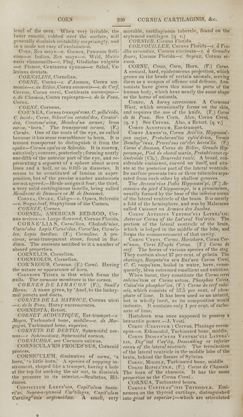 level of the corn. When very irritable, the lunar caustic, rubbed over the surface, will generally diminish irritability surprisingly., and in a mode not easy of explanation. Cork, Zea mays—c. Guinea, Panicum Itali- cnm—c. Indian, Zea mays—c. Wild, Matri- caria chamomilla—c. Flag, Gladiolus vulgaris —c. Flower, Centaurea cyanus—c. Salad, Va- leriana dentata. CORNALINE, Cornelian. COKNE, Cornu —c. d'Ammon, Cornu am- rrionis—c.de Bilier,Cornu ammonis—c. tie Cerf, Cervus, Cornu cervi, Cochlearia coronopus— c. de Chamois, Coma rupicapra;—c. de la Peau, Cornu. CORN A, Corneus. COR'NEA, Cornea transpa'reus, C.pellu'cida, C. lucid'i, Cerns, Sclerotica ceratoi'des, Cerato'i'- des, Ceratome'ninx, Membra!na cornea; from cornv, 'horn.' The transparent cornea. (F.) Cornee. One of the coats of the eye, so called because it has some resemblance to horn. It is termed transparent to distinguish it from the opake—Cornea opa'ca or Sclerotic. It is convex, anteriorly; concave, posteriorly; forming nearly one-fifth of the anterior part of the eye, and re- presenting a segment of a sphere about seven lines and a half, or in. 0.(525 in diameter. It seems to be constituted of lamina; in super- position, but of the precise number anatomists are not agreed.—Henle assigns it four: the third, a very solid cartilaginous lamella, being called Membrane de Devwurs or M. de Descentet. Cornea, Opake, Caligo—c. Opaca, Sclerotic —c. Sugar-loaf, Staphyloma of the Cornea. CORNAE, Cornea. CORNEL, AMERICAN RED-ROD, Cor- nus sericea—c. Large flowered, Oornus Florida. CORNE'LIAN, Carnt'Uan, Chalcedo'nivs, Carne'olus Lapis Carne'olus, Cornelius, Corne'o- lus, Lapis Sardius. (F.) Comaline. A pre- cious, semi-transparent stone, found in Sar- dinia. The ancients ascribed to it a number of absurd properties. CORNRLUS, Cornelian. CORNEOLUS, Cornelian. COR'NEOUS, Corneus, (F.) Come. Having the nature or appearance of horn. Corneous Tissue is that which forms the nails. The corneous membrane is the cornea. CORNES DE LIMACON {¥.), Snails Horns. A name given, by 'Anel,to the lachry- mal puncta and ducts. CORSES DE LA MJ1TR1CE, Cornua uteri —c. de la Peau, Horny excrescences. CORNESTA, Retort. CORNET ACOUSTIQUE, Ear-trumpet—c Moyen, Turbinated bone, middle—c. de Mor- gagni, Turbinated bone, superior. CORNETS DE BERTIN, Sphenoidal cor- nua— r Sphenoidavx, Sphenoidal cornua. CORNICHON. see Cucumis sativus. CORNICULA'RIS FROCES'SUS, Coracoid process. CORNIC'ULUM, diminutive of cornu, 'a horn,' 'a little horn.' A species of cupping in- strument, shaped like a trumpet, having a hole at the top for sucking the air out, to diminish the pressure in its interior.—Scultetus, Hil- danus. Cornichlum Larvn'gis, Capit'ulum Santo- ri'ni, Suvra-urylenoid Cartilages, Capit'ulum Cardinginis arytenoidxx. A small, very movable, cartilaginous tubercle, found on the arytenoid cartilages, (q v.) CORNIER, Oornus Florida.. . CORNOUILLER, Cornus Florida—c. d Feu- Hies arrondies, Cornus circinata—c. a Gra/uhs fleurs, Cornus Florida—c. Soyeux, Cornus se- ricea. CORNU, Ccras, Corn, Horn. (F.) Come. A conical, hard, epidermeous projection, which grows on the heads of certain animals, serving them as a weapon of offence and defence. Ana- tomists have given this name to parts of the human body, which have nearly the same shape as the horns of animals. Cornu. A horny excrescence. A Corneous Wart, which occasionally forms on the skin, and requires the ,use of the knife. (F.) Come de la Peau. See Corn. Also, Cornu Cervi. (q. v) See Cervus. Also, a Retort, (q. v.) Cornu Acustjcum. Ear-trumpet. Cornu Ammon'is, Cornu Arie'tis, Hivpocam'- pvs major, Protnberan'tia cylin'drica, Vermis Bombycinus, Proces'sus cer'ebri lateral lis. (F.) Corne d'Ammon, Come de Dilicr, Grande Hip- pocampe, Pied de chevalmarin, Protuberance cy- lindro'ide (Ch.), Bourrekt route. A broad, con- siderable eminence, curved on itself, and situ- ate at the posterior part of the lateral ventricle. Its surface presents two or three tubercles sepa- rated from each other by shallow grooves. The Accesso'rius Pedis Hippocam'pi, (F.) Ac- cessoire du pied d'ltippocampe, is a prominence, usually formed by the base of the inferior cornu of the lateral ventricle of the brain. Itis merely a fold of the hemisphere, and was by Malacarne called Cuissart ou Armure des Jambes. ConNu Anterius Ventric'um Latera'lis; Anterior Cornu of the Lat'eral Ven'tricle. The portion of the lateral ventricle of the brain, which is lodged in the middle of the lobe, and forms the commencement, of that cavity. Cornu Cervi, Cornu. Hartshorn, Cornu Ccr- vi'num, Cervi Efaphi Cornu. (F.) Corne de cerf. The horns of various species of the stag. They contain about 27 per cent, of gelatin. The shavings, Raspalu'ra seu Ras'ura Cornu Cervi, C. C. raspu'tum, boiled in water, have, conse- quently, been esteemed emollient and nutritive. When burnt, they constitute the Cornu cervi calcina'tum or Cornu ustum, Phosphas Calcis, Calca'ria phosphor'ica, (F.) Corne de cerf calci- ne'e, which consists of 57.5 per cent, of phos- phate of lime. It has been used as an antacid, but is wholly inert, as its composition would indicate. It contains only 1 per cent, of carbo- nate of lime. Hartshorn was once supposed to possess a bezoardic power.—J. Vesti. Cornu (Cervincm.) Cervus, Planlago coron- opns—c. Ethmoidal, Turbinated bone, middle. Cornu Desckn'dens Ventric'um Latera'- lis, Digitai Cav'ity, Descending or inferior cornu of the lateral ventricle. The termination of the lateral ventricle in 1 he middle lobe of the brain, behind the fissure of Sylvius. Cornu, Middle, Turbinated bone, middle. Cornu Rupica'pr.'e, (F.) Corne de Chamois. The horn of the chamois. It has the same properties as the Cornu Cervi. CORNUA, Turbinated bones. Cornua Cartilagims Thyroide^e. Emi- nences on the thyroid cartilage, distinguished into arcat or superior;—which are articulated