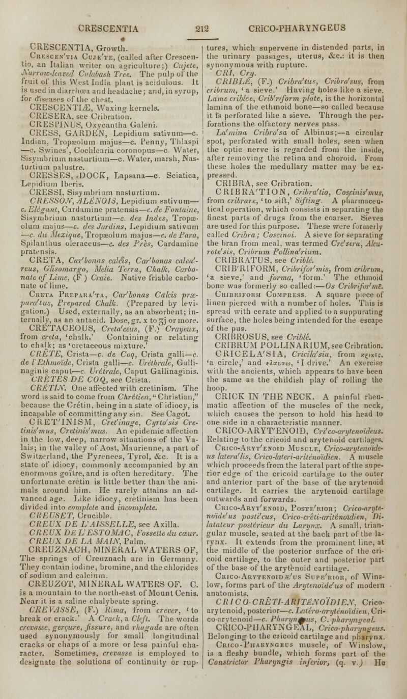 CRESCENTIA, Growth. Cuescen'tia Cuje'te, (called after Crescen- tio, an Italian writer on agriculture;) Cujcle, Xa.rroio-lea.ved Calabash Tree. The pulp of the fruit of this West India plant is acidulous. It is used in diarrhosa and headache; and, in syrup, for diseases of the chest. CRESCENTIA, Waxing kernels. CUES ERA, see Cribration. CREStTNUS, Oxycantha Galeni. CRESS, GARDEN, Lepidium sativum—c. Indian. Tropaeolum majus—c. Penny, Thlaspi —c. Swines', Cochlearia coronopus—c. Water, Sisymbrium nasturtium—c. Water, marsh, Nas- turtium palustre. CRESSES, .DOCK, Lapsana—c. Sciatica, Lepidium Iberis. CRESSI, Sisymbrium nasturtium. CRESSOJY, JiLENOIS, Lepidium sativum— c. Eliganl, Cardamine pratensis—c. de Fontaine, Sisymbrium nasturtium—c. des hides, TropsB- olum majus—c. des Jardins, Lepidium sativum —c. du Mexique, Tropa»lum majus—r. de Para, Spilanthus oleraceus—c. des Pres, Cardamine pratensis. CRLTA, Cur1 bonus caldis, Car'bonas calca'- reus, Glisomargo, Melia Terra, Chalk, Carbo- nate of Lime, (F ) Craie. Native friable carbo- nate of lime. Creta Prepara'ta, CaiJbonas Calcis jirx- para'tus, Prepared Chalk. (Prepared by Ievi- gation.) Used, externally, as an absorbent; in- ternally, as an antacid. Dose, sr. x to rz] or more. CRETACEOUS, Creta'ceus, (P.) Craycux, from creta, 'chalk.' Containing or relating to cha[k; as 'cretaceous mixture.' CRETE, Crista—c. de Coq, Crista galli—e. de I'EthmoH.de, Crista galli—c. Urcthrulc, Galli- naginis caput—c. Uritrale, Caput Gallinaginis. CRETES DE COQ, see Crista. CRltTlN. One affected with cretinism. The word is said to come from Chretien,Christian, because the Cretin, being in a state of idiocy, is incapable of committing any sin. See Cagot. CRET'INISM, Cret'inage, Cyrto'sis Cre- tinis'mus, Cretinis'mus. An epidemic affection in the low, deep, narrow situations of the Va- lais; in the valley of Aost, Maurienne, a part of Switzerland, the Pyrenees, Tyrol, &c. It is a state of idiocy, commonly accompanied by an enormous goitre, and is often hereditary. The unfortunate cretin is little better than the ani- mals around him. He rarely attains an ad- vanced age. Like idiocy, cretinism has been divided into complete and incomplete. CREUSET, Crucible. CREUX DE L'AISSELLE, see Axilla. CREUX DE L'ESTOMAC, Fossetle du caur. CREUX DE LA MAIN, Palm. CREU2NACH, MINERAL WATERS OF, The springs of Creuznach are in Germany. They contain iodine, bromine, and the chlorides of sodium and calcium. CREUZOT, MINERAL WATERS OF. C. is a mountain to the north-east of Mount Cenis. Near it is a saline chalybeate spring. CREVASSE, (F.) Rirna, from crever, 'to break or crack.' A Crack, a Cleft. The words crevasse, gcrrure, fissure, and rhagade are often used synonymously for small longitudinal cracks or chaps of a more or less painful cha- racter. Sometimes, crevasse is employed to designate the solutions of continuity or rup- tures, which supervene in distended parts, in the urinary passages, uterus, &c: it is then synonymous with rupture. CRl, Cry. CRIBLA, (F.) Cribra'tus, Cribro'sus, from cribrum, ' a sieve.' Having holes like a sieve. Lame criblee, Crib'r/form plate, is the horizontal lamina of the ethmoid bone—so called because it fs perforated like a sieve. Through the per- forations the olfactory nerves pass. La'mina Cribro'sa of Albinus;—a circular spot, perforated with small holes, seen when the optic nerve is regarded from the inside, after removing the retina and choroid. From these holes the medullary matter may be ex- pressed. CRIBRA, see Cribration. CRIBRA'TION, Cribra'tio, Coscinis'mus, from cribrare, ' to sift,' Sifting. A pharmaceu- tical operation, which consists in separating the finest parts of drugs from the coarser. Sieves are used for this purpose. These were formerly called Cribra; Coscinoi. A sieve for separating the bran from meal, was termed Cre'stra, Aleu- rotc'sis, Cribrum Pollina'rium. CRIBRATUS, see Crible. CRIB'RIFORM, Cribrifor'mis, from cribrum, 'a sieve,' and forma, 'form.' The ethmoid bone was formerly so called :—Os Cribrifor1ml. Cribriform Compress. A square piece of linen pierced with a number of holes. This is spread with cerate and applied to a suppurating surface, the holes being intended for the escape of the pus. CRIBROSUS, see Crible. CRIBRUM ROLLINARIUM, see Cribration. CRICELA'SIA, Cricila'sia, from y.^iY.cc, 'a circle,' and iXa.vru>, 'I drive.' An exercise with the ancients, which appears to have been the same as the childish play of rolling the hoop. CRICK IN THE NECK. A painful rheu- matic affection of the muscles of the neck, which causes the person to hold his head to one side in a characteristic manner. CRICO-ARYT'ENOID, Cri'co-arytenokhus. Relating to the cricoid and arytenoid cartilagps. Crico-Aryt'enoid Muscle, Crico-arytcnoide- us latera'lis, Crico-laleri-aritenoidien. A muscle which proceeds from the lateral part of the supe- rior edge of the cricoid cartilage to the outer and anterior part of the base of the arytenoid cartilage. It carries the arytenoid cartilage outwards and forwards. Crico-Aryt'enoid, Postf/rjou; Crico-aryte- ndi.de'us posti'cus, Crico-creti-arMnoulien, Di- lataleur postdrieur du Larynx. A small, trian- gular muscle, seated at the back part of the la- rynx. It extends from the prominent line, at the middle of the posterior surface of the cri- coid cartilage, to the outer and posterior part of the base of the arytenoid cartilage. Crico-Arytenoidje'us Supe'rior, of Wins- low, forms part of the Arytenoide'us of modem anatomists. CRl CO-CRETI-ARITiLXOlDlEX, Crico- arytenoid, posterior—c. Lalero-arytdnoidien, < Jri- co-arytenoid—c. Pharynmus, C. pharyngeal. CRICO-PHARYNGEAL, Crico-phar'yngeus. Belonging to the cricoid cartilage and pharynx. Crico-Piiakyngeus muscle, of Winslow, is a fleshy bundle, which forms part of the Constrictor Pharyngis inferior, (q. v.) Ha