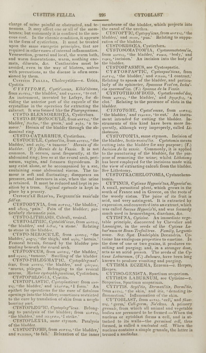 charge of urine painful or obstructed, and te- nesmus. It may affect die or all of the mem- branes; but commonly it is confined to the mu- cous coat. In the chronic condition, it appears in the form of cystirrhcea. It must be treated upon the same energetic principles, that are required in other cases of internal inflammation. Venesection, general and local, the warm bath, and warm fomentations, warm, soothing ene- mala, diluents, &c. Cantharides must be avoided, even in the way of blisters, unless with precautions, as the disease is often occa- sioned by them. Cystitis Fellea, Cholecystitis—c. Urica, Cystitis. C YSTITOME, Cystit'omus, Kilns'titome, from y.variq, ' the bladder,' and rsfivsiv, ' to cut.' An instrument, invented by Lafaye, for di- viding the anterior part of the capsule of the crystalline in the operation for extracting the cataract. It was formed like the Pharynyotome. CYSTO BLENNORRHEA, Cystirrhcea. CYSTO-BU'BONOCE'LE, from ko<tt,s, ' the bladder,' (ioujior, ' the groin,' and xijlrj, 'a tu- mour.' Hernia of the bladder through the ab- dominal ring. CYSTO CATARRHUS, Cystirrhcea. CYSTOCE'LE, Cystoce'lia, from nvang,' the bladder,' and xrjlrj, 'a tumour.' Hernia of the bladder. (F.) Hernie de la Vessie. It is not common. It occurs, most frequently, at the abdominal ring; less so at the crural arch, peri- nosum, vagina, and foramen thyroideum. It may exist alone, or be accompanied by a sac, containing some abdominal viscus. The tu- mour is soft and fluctuating; disappears on pressure, and increases in size, when the urine is retained. It must be reduced and kept in po- sition by a truss. Vaginal cystocele is kept in place by a pessary. Cystoce'le Bilio'sa, Turgescen'da vesic'ulas fell'em. CYSTODY.N'IA, from xvo-iig, 'the bladder,' and odvvrj, 'pain.' Pain of the bladder; par- ticularly rheumatic pain. CYSTO-LITHIASIS, Calculi, vesical. CYSTO-LITHIC, Cystolitk'icus, from Kvang, 'the bladder,' and Xi&os, 'a stone.' Relating to stone in the bladder. CYSTO-MEROCE'LE, from twr,c, 'the bladder,' /uegtfs, 'the thigh,' and x)//1./;, 'hernia.' Femoral hernia, formed by the bladder pro- truding beneath the crural arch. CYSTON'CUS, from Kvang, 'the bladder,' and oyxoc, ' tumour.' Swelling of the bladder. CYSTO-PHLEGMAT'lC, Cystophhgmat'- icus, from y.vaiig, 'the bladder,' and ipHiyua. 'mucus, phlegm.' Belonging to Ihe vesical mucus. Morbus cyslophlegmaticus, Cystirrhcea. CY8TOPHLOG1A, Cystitis. CYSTOPLAST1C, Cysloplasticus: from Ma- Tic, 'the bladder,' and nXattrta, '1 form.' An epithet for operations for the cure of fistulous openings into the bladder; sometimes restricted to the cure by translation of skin from a neio-h- bourinir part. CYSTOPLEG'TC, Cystop!egicus. Belong- ing to paralysis of the bladder; from y.wng, ' the bladder,' and ttXijo-o-jd, 'I strike.' CYSTOPLEXTA, same etymon. Paralysis of the bladder. CYSTOPTO'SIS, from y.v<rxig, 'the bladder,' and TiTiTttv, 'to fall.' Relaxation of the inner membrane of the bladder, which projects into the canal of the urethra. CYSTOPY'IC, Cystopificus, from *.u<rxtc,' the bladder,' and nvov, 'pus.' Relating to suppu- ration of the bladder. CYSTORRHCEA, Cystirrhcea. CYSTOSOMATOM'IA, Cystosomatotom'ia, from xuffne, 'the bladder,' awucc, 'body,' and Tof<?;,' incision.' An incision into the body of the bladder. CYSTOSPASMUS, see Cystospastic. CYSTOSPAS'TIC, Cystospus'ticus, from y.wrriq, 'the bladder,' and <rnaw, 'I contract.' Relating to spasm of the bladder, and particu- larly of its sphincter, Spasmus Vesi'cm, Ischu'- ria spasmod'ica. (F.) Spas me de la Vessie. CYSTOTHROM'BOlD, Cystothromboi'des, from xurmg, 'the bladder,' and &Qopt.p;t:, 'a clot.' Relating to the presence of clots in the bladder. CYSTOTOME, Cystot'omus, from xvrrif, ' the bladder,' and xeurnv, 'to cut.' An instru- ment intended for cutting the bladder. In- struments of this kind have been more fre- quently, although very improperly, called Li- thotomes. CYSTOTOMTA, same etymon. Incision of the bladder, Sectio vesica'lis. Cystotomia means cutting into the bladder for any purpose; (F.) Incision fie la vessie. Commonly, it is applied to the puncturing of the bladder, for the pur- pose of removing the urine; whilst Lithotomy has been employed for the incisions made with the view of extracting calculi from the bladder. See Lithotomy. CYSTOTRACHELOTOMIA, Cystaucheno- tomia. CYT'INUS, Cytinus Hypocis'tus, Hypocist'us. A small, parasitical plant, which grows in the south of France and in Greece, on the roots of the woody cistus. The juice of its fruit is acid, and very astringent. It is extracted by expression, and converted into an extract, which was called Succus Hypocis'ti, and was formerly much used in hemorrhages, diarrhoea, &c. CYTISI'NA, Cytisine. An immediate vege- table principle, discovered by Chevalier and Lassaigne, in the seeds of the Cytisus La- bur'nutu or Bean-Trefoil tree. Family, Legumi- nosae. Sex. Syst. Diadelphia Decandria. Cy- tisine has analogous properties to emetine. In the dose of one or two grains, it produces vo- miting and purging; and, in a stronger dose, acts as an acrid poison. The seeds of the Cy- tisus Laburnum, (F.) Jlubours, have been long known to produce vomiting and purging. CYTISMA ECZEMA, Eczema—c. Herpes, Herpes. CYT1SO-GENISTA, Spartium scoparium. CYTISUS LABURNUM, see Cytisine—c. Scoparius. Spartium scoparium. CYTl'TIS, Scyti'tis, Dermati'tis, Dermi'tis, from «.vtic, ' the skin,' and ills, ' denoting in- flammation,' Inflammation of the skin. CY'TOBLAST, from wxtg, 'eel!,' and p?.ua- xog, ' germ,' Cell-germ, Nu'ckus. A primary granule, from which all animal and vegetable bodies are presumed to be formed—When the nucleus or cytoblast forms a cell, and is at- tached to its walls—the germinal ell, thus formed, is called a nucleated, cell. When the nucleus contains a simple granule, the latter is termed a nucleolus.