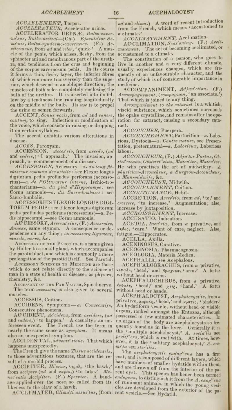 ACCABLEMENT, Torpor. ACC£LERATEUR, Accelerator urinas. ACCELERA'TOR URI'NiE, Bulbo-caver- no'sus, Bulbo-uretral—(Ch.) Ejacula'tor Se- mi'nis, Bulbo-syndesmo-caverneux. (F.) Ac- celerateur, from ad and celer, ' quick.' A mus- cle of the penis, which arises, fleshy, from the sphincter ani and membranous part of the ureth- ra, and tendinous from the crus and beginning of the corpus cavernosum penis. In its course it forms a thin, fleshy layer, the inferior fibres of which run more transversely than the supe- rior, which descend in an oblique direction; the muscles of both sides completely enclosing the bulb of the urethra. It is inserted into its fel- low by a tendinous line running longitudinally on the middle of the bulb. Its use is to propel the urine or semen forwards. ACCENT, Sonus vocis, from ad and canere, cantum, to sing. Inflection or modification of the voice, which consists in raising or dropping it on certain syllables. The accent exhibits various alterations in disease. ACCE.S, Paroxysm. ACCES'SION. Acces'sio, from accedo, {ad and cedere,) ' I approach.' The invasion, ap- proach, or commencement of a disease. ACCESSOIRE, Accessory—a. dulong fle- chisseiir commun des orteils : see Flexor longus digitorum pedis profundus perforans (accesso- rius)—a. de VObturateur interne, Ischio-tro- chanterianus—a. du pied d'Hippocampe : see Cornu ammonis—a. du Sacro-lombaire : see Sacro-lumbalis. ACCESSORIUS FLEXOR LONGUS DIGI- TORUM PEDIS; see Flexor longus digitorum pedis profundus perforans (accessorius)—a. Pe- dis hippocampi;—see Cornu ammonis. ACCESSORY, Accesso'rius, (F.) Accessoire, Annexe, same etymon. A consequence or de- pendence on any thing; as accessory ligament, muscle, nerve, &c. Accessory of the Parot'id, is a name given by Haller to a small gland, which accompanies the parotid duct, and which is commonly a mere prolongation of the parotid itself. See Parotid. Accessory Sciences to Medicine are those which do not relate directly to the science of man in a state of health or disease; as physics, chemistry, &c. Accessory of the Par Vagum, Spinal nerve. The term accessory is also given to several muscles. ACCESSUS, Coition. ACCIDENS, Symptoma — a. Consecutifs, Consecutive phenomena. ACCIDENT, Ac'cidens, from accidere, {ad and cadere,) 'to happen.' A casualty; an un- foreseen event. The French use the term in nearly the same sense as symptom. It means also an unexpected symptom. ACCIDEN'TAL, adventitious. That which happens unexpectedly. The French give the name Tissus accidentels, to those adventitious textures, that are the re- sult of a morbid process. ACCIP'ITER, Hi'erazy'itQa*, 'the hawk,' from accipere {ad and capio,) l to take.' Me- nee'ratis Accip'iter. (F.) Epervier. A band- asre applied over the nose, so called from its likeness to the claw of a hawk. ACCLI'MATED, Clima'ti assue'tus, (from ad and clima.) A word of recent introduction from the French, which means ' accustomed to ACCLIMATEMENT, Acclimation. ACCLIMATION, Seas'onivg. (F.) Accli- macement. The act of becoming acclimated, or accustomed to a climate. The constitution of a person, who goes to live in another and a very different climate, usually experiences changes, which are fre- quently of an unfavourable character, and the study of which is of considerable importance in medicine. ACCOM'PANIMENT, Adjun'ction. (F.) Accompagnement, {compagnon, ' an associate.') That which is joined to any thing. Accompaniment to the cataract is a whitish, viscid substance, which sometimes surrounds the opake crystalline, and remains after the ope- ration for cataract, causing a secondary cata- ACCOUCHEE, Puerpera. ACCOUCHEMENT, Parturition—a. Labo- rious, Dystocia—a. Contre nature, see Presen- tation, preternatural—a. Laborieux, Laborious labour. ACCOUCHEUR, (F.) Adju'tor Partus, Ob- stet'ricans, Obstetri''cius, Maieu'ter, Maieu'tes. He who practises the art of midwifery. A physician-Accoucheur, a Surge on-Accoucheur, a Man^midvnfe, &c. ACCOUCHEUSE, Midwife. ACCOUPLEMENT, Coition. ACCOUTUMANCE, Habit. ACCRE'TION, Accre'tio, from ad, 'to,' and crescere, ' to increase.' Augmentation; also, increase by juxtaposition. ACCROISSEMENT, Increase. ACCUSATIO, Indication. ACE'DIA, Incu'ria, from a privative, and xijdoc, 'care.' Want of care, neglect. Also, fatigue.—Hippocrates. ACELLA, Axilla. ACENINOSUS, Curative. ACEOGNOSIA, Pharmacognosia. ACEOLOGIA, Materia Medica. ACEPHALIA, see Acephalous. ACEPH'ALOBRACHUS, from a privative, KtvaXi], 'head,' and (iqaxitov,'arm.' A foetus without head or arms. ACEPH'ALOCHFRUS, from * privative, xt<puXrn 'head,' and ^t/§, 'hand.' A fcetus without head or hands. ACEPH'ALOCYST, Acephalocyst'is, from « privative, xtcpaXy,,' head,' and xvn-n?, < bladder.' An hydatiform vesicle, without head or visible organs, ranked amongst the Entozoa, although possessed of few animated characteristics. In no organ of the body are acephalocysts so fre- quently found as in the liver. Generally it is the 'multiple acephalocyst,' A. socia'lis seu prohf era, which is met with. At times, how- ever, it is the ' solitary acephalocyst,' A. ere- mi ta seu ster'ilis. The acephalocystis endoge?ia has a firm coat, and is composed of different layers, which have numbers of smaller hydatids within them, and are thrown off from the interior of the p^ rent cyst. This species has hence been termed wdogena, to d1St,nguish it from the A. exog»ena of ruminant animals, in which the youne vesi- ±\ ™tZ*l0r& *»? % exterior'of The pa- rent vesicle.—See Hydatid.