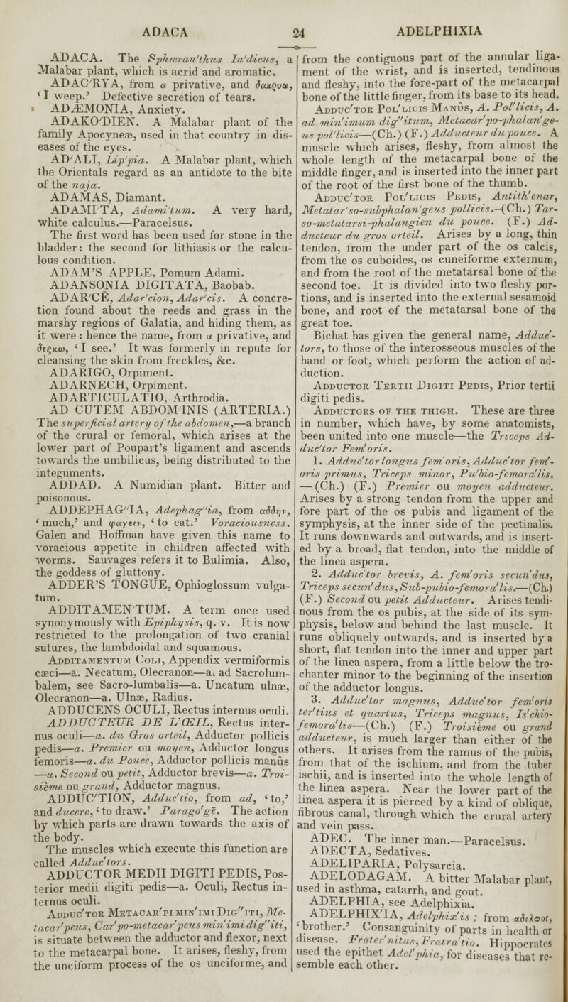 ADACA. The Spharan'thus In'dictts, a Malabar plant, which is acrid and aromatic. ADAC'RYA, from a privative, and Saicovu, 'I weep.' Defective secretion of tears. • ADiEMONIA, Anxiety. ADAKO'DIEN. A Malabar plant of the family Apocyneae, used in that country in dis- eases of the eyes. AD'ALI, Lip'pia. A Malabar plant, which the Orientals regard as an antidote to the bite of the naja. ADAMAS, Diamant. ADAMI'TA, Adami'tum. A very hard, white calculus.—Paracelsus. The first word has been used for stone in the bladder: the second for lithiasis or the calcu- lous condition. ADAM'S APPLE, Pomum Adami. ADANSONIA DIGITATA, Baobab. ADAR'CE, Adar'cion, Adar'cis. A concre- tion found about the reeds and grass in the marshy regions of Galatia, and hiding them, as it were: hence the name, from u privative, and fogxuj, 'I see.' It was formerly in repute for cleansing the skin from freckles, &c. ADARIGO, Orpiment. ADARNECH, Orpiment. ADARTICULATIO, Arthrodia. AD CUTEM ABDOMINIS (ARTERIA.) The superficial artery of /he abdomen,—a branch of the crural or femoral, which arises at the lower part of Poupart's ligament and ascends towards the umbilicus, being distributed to the integuments. ADDAD. A Numidian plant. Bitter and poisonous. ADDEPHAGIA, Adephagia, from aSSr,r, ' much,' and (paytiv, ' to eat.' Voraciousness. Galen and Hoffman have given this name to voracious appetite in children affected with worms. Sauvages refers it to Bulimia. Also, the goddess of gluttony. ADDER'S TONGUE, Ophioglossum vulga- tum. ADDITAMENTUM. A term once used synonymously with Epiphysis, q. v. It is now restricted to the prolongation of two cranial sutures, the lambdoidal and squamous. Additamentum Coli, Appendix vermiformis caeci—a. Necatum, Olecranon—a. ad Sacrolum- balem, see Sacro-lumbalis—a. Uncatum ulnae, Olecranon—a. Ulnae, Radius. ADDUCENS OCULI, Rectus internus oculi. ABP/UCTEUR DE L'CEIL, Rectus inter- nus oculi—a. du Gros orteil, Adductor pollicis pedis—a. Premier ou moyen, Adductor longus iemoris—a. du Pouce, Adductor pollicis manias —a. Second ou petit, Adductor brevis—a. Troi- sieme ou grand, Adductor magnus. ADDUCTION, Adduc'tio, from ad, 'to,' and ducere,' to draw.' Parago'ge. The action by which parts are drawn towards the axis of the body. The muscles which execute this function are called Adduc'tors. ADDUCTOR MEDII DIGITI PEDIS, Pos- terior medii digiti pedis—a. Oculi, Rectus in- ternus oculi. Adduc'tor Metacar'pi min'imi Digiti, Me- tacar'peus, Car'po-metacar'peus min'imi digiti, is situate between the adductor and flexor, next to the metacarpal bone. It arises, fleshy, from the unciform process of the os unciforme, and from the contiguous part of the annular liga- ment of the wrist, and is inserted, tendinous and fleshy, into the fore-part of the metacarpal bone of the little finger, from its base to its head. Adduc'tor Pol'licis ManOs, A. Pol'licis, A. ad min'imum dig'itum, Metacar'po-phalan'ge- us pol'licis—(Ch.) (F.) Adducteur du pouce. A muscle which arises, fleshy, from almost the whole length of the metacarpal bone of the middle finger, and is inserted into the inner part of the root of the first bone of the thumb. Adduc'tor Pol'licis Pedis, Antith'enar, Metatar'so-subphalangeus pollicis.-(Ch.) Tar- so^metatarsi-phalangien du pouce. (F.) Ad- ducteur du gros orteil. Arises by a long, thin tendon, from the under part of the os calcis, from the os cuboides, os cuneiforme externum, and from the root of the metatarsal bone of the second toe. It is divided into two fleshy por- tions, and is inserted into the external sesamoid bone, and root of the metatarsal bone of the great toe. Bichat has given the general name, Adduc'- tors, to those of the interosseous muscles of the hand or foot, which perform the action of ad- duction. Adductor Tertii Digiti Pedis, Prior tertii digiti pedis. Adductors of the thigh. These are three in number, which have, by some anatomists, been united into one muscle—the Triceps Ad- duc'tor Fern! oris. 1. Adduc'tor longus fem oris, Adduc'tor fern'- oris primus, Triceps minor, Pu'bio-femora'lis. — (Ch.) (F.) Premier ou moyen adducteur. Arises by a strong tendon from the upper and fore part of the os pubis and ligament of the symphysis, at the inner side of the pectinalis. It runs downwards and outwards, and is insert- ed by a broad, fiat tendon, into the middle of the linea aspera. 2. Adduc'tor brevis, A. fem'oris secun'dus, Triceps secun'dus, Sub-pubio-femora'lis.—(Ch.) (F.) Second ou petit Adducteur. Arises tendi- nous from the os pubis, at the side of its sym- physis, below and behind the last muscle. It runs obliquely outwards, and is inserted by a short, flat tendon into the inner and upper part of the linea aspera, from a little below the tro- chanter minor to the beginning of the insertion of the adductor longus. 3. Adduc'tor magnus, Addttc'tor fem'oris ter'tius et quartus, Triceps magnus, Ischio- femoral lis—(Ch.) (F.) Troisieme ou grand adducteur, is much larger than either of the others. It arises from the ramus of the pubis, from that of the ischium, and from the tuber ischii, and is inserted into the whole length of the linea aspera. Near the lower part of the linea aspera it is pierced by a kind of oblique, fibrous canal, through which the crural artery and vein pass. ADEC. The inner man.—Paracelsus. ADECTA, Sedatives. ADELIPARIA, Polysarcia. ADELODAGAM. A bitter Malabar plant, used in asthma, catarrh, and gout. ADELPHIA, see Adelphixia. ADELPHIXTA, Adelphix'is ; from *Woor, 'brother.' Consanguinity of parts in health or disease. Frater'nitas,Fratra'tio. Hippocrates used the epithet Adel'phia, for diseases that re- semble each other.