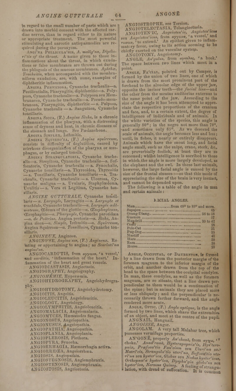 AXGINE GUTTURALE G4 in regard to the small number of parts which are drawn into morbid consent with the affected car- diac nerves, than in regard either to its nature or appropriate treatment. The most powerful stimulating and narcotic antispasmodics are re- quired during the paroxysm. Bi'ka Pki.i.hi la'his, A. malig'na, Dijithe- ri'tis of the throat. A name given to those in- flammations about the throat, in which exuda- tions or false membranes are thrown out during the phlogosis of the mucous membranes. Aphtha, Tracheitis, when accompanied with the membra- niform exudation, are, with some, examples of diphtheritic inflammation. * Angina Perniciosa, Cynanche trachealis—a. Pestilentialis, Pharyngitis, diphtheritic—a. Poly- posa, Cynanche trachealis—a. Polyposaseu Mem- branacea, Cynanche trachealis—a. Pseudo-mem- branosa, Pharyngitis, diphtheritic — a. Pulposa, Cynanche trachealis — a. Sanguinea, Cynanche tonsillaris. Angina Sicca, (F.) Angine Siche, is a chronic inflammation of the pharynx, with a distressing sense of dryness and heat, in chronic diseases of the stomach and lungs. Sec Pajdanchone. Angina Simplex, Isthmitis. Angina Squirro'sa, (F.) Angine aquirreuse, consists in difficulty of deglutition, caused by scirrhous disorganization of the pharynx or oeso- phagus, or by enlarged tonsils. Angina StrahguxatoriA, Cynanche trache- alis—a. Strepltosa, Cynanche trachealis—a. Suf- focatoria, Cynanche trachealis—a. Synochalis, Cynanche tonsillaris—a. Thyreoidea, Thyreoids — a. Tonsillaris, Cynanche tonsillaris — a. Tra- chealis. Cynanche trachealis — a. Ulcerosa, Cy- nanche maligna — a. Uvularis, Staphyledema, Uvulitis — a. Vera ct Legitima, Cynanche ton- sillaris. AXGINE GUTTURALE, Cynanche tonsil- laris— a, Laryngfe, Laryngitis — a. Laryng&e et trachiale, Cynanche trachealis—a. LaryngSe cedd- mateuse, (Edema of the glottis—a. OEsophagienne, Oesophagitis—a.Pharyngde, Cynanche parotidaea —a. clc Poitrine. Angina pectoris—a. Seche, An- gina sicca—a. Simple, Isthmitis—a. Squirreuse, Angina Squirrosa—a. Tonsillaire, Cynanche ton- sillaris. ANGTNEUX, Anginose. ANGINO'SE, Angino'suo, (F.) Angineux. Re- lating or appertaining to angina; as Scarlati'na mgino'sa. ANGIOCARDI'TIS, from ayyciov, 'a vessel,' «tnd carditis, ' inflammation of the heart.' In- flammation of the heart and great vessels. AXUIODTASTASIS, Angiectasis. ANGIOGRAPHY, Angeiography. ANGIOHEMTE, Hyperemia. AXGIOHYDROGRAPHY, Angeiohydrogra- phy. ANGIOHYDROTOMY, Angeiohydrotomy. ANGIOITIS. Angeitis. AXGIOLEUCITIS, Angeioleucitis. ANGIOLOGY, Angeiology. AX<UOLYAIPFTITIS, Angeioleucitis. ANGIOMALACIA, Angeiomalacia. ANGIOMYCES, Hoematodes fungus. AXGIOXO.-TS, Angciopathia. ANGIONUSUS, Angciopathia. AXGIOPATIIIA, Angciopathia. AXGIOPLANIA. Angeioplania. ANGIOPLEROSIS, Plethora. ANGIOPYRA, 8ynocha. ANGIORRHAGIA, Haemorrhagia activa. ANGIORRHCBA, Angeiorrhcea. ANGIOSIS, Ansiopathia. ANGIOSTEGNOSIS, Angiemphraxis. AXGIOSTEXOSIS, Angiemphraxis. AXGIOSTOSIS, Angeiostosis. ANGONE ANGIOSTROPHE, see Torsion. ANGIOTELECTASIA, Telangiectasia. ANGIOTEN'IC, Angeioten'ie, Angtoten icui sen iageioten'icua, from ayyuov, 'a vessel, and tuvuv, 'to extend.' An epithet given to inflam- matory fever, owing to its action seeming to be chiefly exerted on the vascular system. ANGIOTOMY, Angeiotomy. ANGLE, An'gulus, from uyioiAos, 'a hook.' The space between two lines which meet in a point. , - Angle, Fa'cial, pointed out by Camper, is formed by the union of two lines, one of which is drawn from the most prominent part of the forehead to the alveolar edge of the upper jaw, opposite the incisor teeth—the facial line—and the other from the meatus auditorius externus to the same point of the jaw. According to the size of the angle it has been attempted to appre- ciate the respective proportions of the cranium and face, and, to a certain extent, the degree of intelligence of individuals and of animalsi In the white varieties of the species, this angle is generally 80° ; in the negro not more than 70°, and sometimes only 65°. As we descend the scale of animals, the angle becomes less and less ; until, in fishes, it nearly or entirely disappears. Animals which have the snout long, and facial angle small, such as the snipe, crane, stork, &c, are proverbially foolish, at least they are so esteemed; whilst intelligence is ascribed to those in which the angle is more largely developed, as the elephant and the owl. In these last animals, however, the large facial angle is caused by the size of the frontal sinuses :—so that this mode of appreciating the size of the brain is very inexact, and cannot be depended upon. The following is a table of the angle in man and certain animals : 1ACIAL ANGLES. Man „ from 68° to 88° and more. Sapajon 65 Orang-Utang- 56 to 58 Guenon „...., 57 Mandrill 30 to 42 Coa'i 28 l'olc-Cat , 31 Pug-Dog 35 Mastiff „.. 41 Hare t 30 Ram 30 Horse 23 Angle, Occipital, op Datjbenton, is formed by a line drawn from the posterior margia of the foramen magnum to the inferior margin of the orbit, and another drawn from the top of the head to the space between the occipital condyles. In man, these condyles, as well as the foramen magnum, are so situate, that a line drawn per- pendicular to them would be a continuation of the spine; but in animals they are placed more or less obliquely; and the perpendicular is ne- cessarily thrown farther forward, and the angle rendered more acute. Angle, Optic, (F.) Angle optiqne, is the ano-le formed by two lines, which shave the extremitieb of an object, and meet at the centre of the nuDil. ANGXAIL. Hangnail. *V ANGOISSE, Angor. ANGOLAM A very tall Malabar tree, which possesses vermifuge properties. AX'GONE, properly An'chone, from ayvu., <T choke. Anad'rome,Hysterapopnix'ie, ]/,,»'tero- P>y*>.P>-*f'>cat<°-F™'°i><m seu Uteri'na sev> Main cih, Strangnla'Uo uteri'na, Suffoc^tio ut>- ri „« seu hysterica Globu* seu Nodtiehyster'icuL Orthopnea hysterica Dyepha'gia globo'sa seu hysterica, A ervoue Quinsy. A feeling of stranOT- lation, with dread of suffocation. It is common