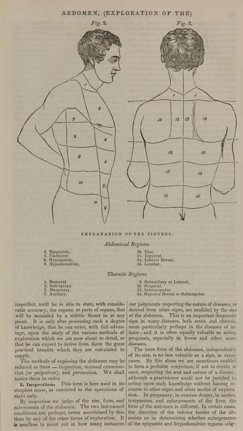 Fig. 2. Fig. 3. EXPLANATION OF THE FIGURES. Abdominal Regions. 4. Epigastric. 5. Umbilical. 6. Hypogastric. 9. Hypochondriac. 1. Humoral. 2. Subclavian 3. Mammary. 7. Axillary. 10. Iliac. 11. Inguinal. 15. Inferior Dorsal. 10. Lumbar. Thoracic Regions. imperfect, until he is able to state, with conside- rable accuracy, the organs, or parts of organs, that will be wounded by a stiletto thrust in at any point. It is only after possessing such a degree of knowledge, that he can enter, with full advan- tage, upon the study of the various methods of exploration which we are now about to detail, or that he can expect to derive from them the great practical benefits which they are calculated to supply. The methods of exploring the abdomen may be reduced to three — inspection, manual examina- tion (or palpation}, and percussion. We shall notice them in order. T. Inspection. This term is here used in its (Amplest sense, as restricted to the operations of sight only. By inspection we judge of the size, form, and movements of the abdomen. The two last-named conditions arc, perhaps, better ascertained by this than by any of the other forms of exploration. It is needless to point out in how many instances 8. Subaxillary or Lateral. 12. Scapular. 13. Interscapular. 14. Superior Dorsal or Subscapular. our judgments respecting the nature of diseases, a» derived from other signs, are modified by the size* of the abdomen. This is an important diagnostic sign in many diseases, both acute and chronic, more particularly perhaps in the diseases of in- fants ; and it is often equally valuable as aiding prognosis, especially in fevers and other acute diseases. The mere form of the abdomen, independently of its size, is no less valuable as a sign, in many cases. By this alone we are sometimes enabled to form a probable conjecture, if not to decide al once, respecting the scat and nature of a disease ; although a practitioner could not be justified in acting upon such knowledge without having re- course to other signs and other modes of exploia tion. In pregnancy, in ovarian dropsy, in ascites, tympanites, and enlargements of the liver, the form of the aodomen is different. In certain cases, the direction of the inferior border of the rib* assists us in determining whether enlargements of the epigastric and hypochondriac regions ori<f-