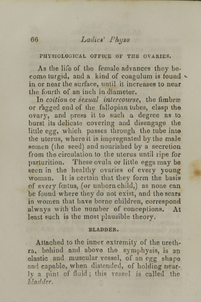 PHYSIOLOGICAL OFFICE OF Till* OVARIES. As the lifo of the female advances they bo- como turgid, and a kind of coagulum is found in or near the surface, until it increases to near the fourth of an inch in diameter. In coition or sexual intercourse, the fimbraj or ragged end of the fallopian tuhes, clasp the ovary, and press it to such a degree as to burst its delicate covering and disengage the little egg, which passes through the tube inio the uterus, where it is impregnated by the male semen (the seed) and nourished by a secretion from the circulation to the uterus until ripe for parturition. These ovula or little eggs may be 6een in the healthy ovaries of every young woman. It is certain that they form the basis of every fcetus, (or unborn child,) as none can be found where they do not exist, and the scars in women that have borne children, correspond always with the number of conceptions. At least such is the most plausible theory. BLADDER. Attached to the inner extremity of the ureth- ra, behind and above the symphysis, is an elastic and muscular vessel, of an egg shape and capable, when distended, of holding near- ly a pint of fluid ; this vessel is called the tier.