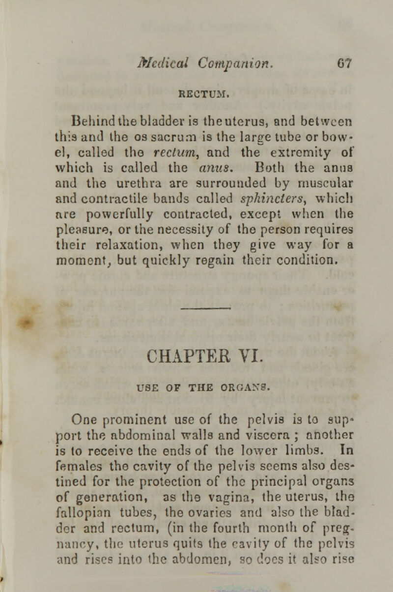 RECTUM. Behind the bladder is the uterus, and between this and the os sacrum is the large tube or bow- el, called the rectum, and the extremity of which is called the anus. Both the anus and the urethra are surrounded by muscular and contractile bands called sphincters, which are powerfully contracted, except when the pleasure, or the necessity of the person requires their relaxation, when they give way for a moment, but quickly regain their condition. CHAPTER VI. USE OF THE ORGANS. One prominent use of the pelvis is to sup* port the abdominal walls and viscera ; another is to receive the ends of the lower limbs. In females the cavity of the pelvis seems also des- tined for the protection of the principal organs of generation, as the vagina, the uterus, the fallopian tubes, the ovaries and also the blad- der and rectum, (in the fourth month of preg- nancy, the uterus quits the cavity of the pelvis and rises into the abdomen, so docs it also riee