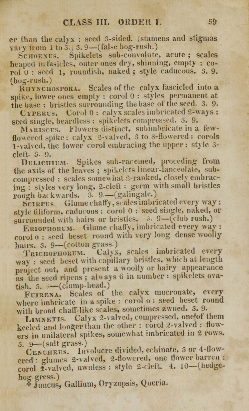 cr than the calyx : seed 5-sided, (stamens and stigmas vary from i to S.) 3.9—(false bog-rush.) Schoenus. Spikelets sub-convolute, acute ; scales heaped infasicles, outer ones dry, shinning, empty : co- rol 0 : seed l, roundish, naked ; style caducous. 3. 9. (bog-rush.) Rhyncuospora. Scales of the calyx fascicled into a spike, lower ones empty : corol 0 : styles permanent at the base : bristles surrounding the base of the seed. 3. 9. Cyperus. Corol 0 : calyx scales imbricated 2-ways : seed single, beardless : spikelets compressed. 3. 9. Mariscus. Flowers distinct, subimbricate in a few- flowered spike: calyx 2-yaIved, 3 to 8-flowered: corols 1-vahcd, the lower corol embracing the upper: style 3- cleft. 3. 9. Dclichium. Spikes sub-racemed, proceding from the axils of the leaves ; spikelets linear-lanceolate, sub- compressed : scales somewhat 2-ranked, closely embrac- ing : styles very long, 2-cleft : germ with small bristles rough ba< kwards. 3. 9—(galingale.) Scirpus Glume chaffy, scales imbricated every way: style filiform, caducous : corol 0 : seed single, naked, or surrounded with hairs or bristles. 3. 9—(club rush.) Eriophorum. Glume chaffy, imbricated every way : corol o : seed beset round with very long dense wooliy hairs. 3. 9—(cotton grass.) # ■ Trickophorcm. Calyx, scales imbricated every way : seed beset with capillary bristles, which at length project out, and present a woolly op hairy appearance as the seed ripens ; always 6 in number : spikelets ova- tish. 5. J—(clump-head.) Fuirena. Scales of the calyx mucronate, every where imbricate in a spike: corol o: seed beset round with broad chaff-like scales, sometimes awned. 3. 9. Limnetis. Calyx 2-valved, compressed, onefof them keeled and longer than the other : corol 2-valved : flow- ers in unilateral spikes, somewhat imbricated in 2 rows. 3. 9—(salt grass.) Cenchrcs. Involucre divided, echinate, 3 or 4-flow- ered ■ glumes 2-valved, 2-flowered, one flower barren : corol 2-valved, awnless : style 2-cleft. 4. 10—(hedge- hog-gress.) , . * j uncus, Gallium, Oryzopsis, Q.uena.