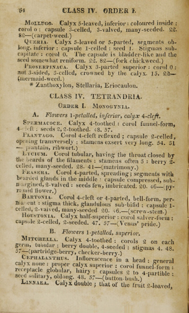 Moix^go. Calyx 5-leavcd, inferior: coloured inside : corol o: capsule 3-celled, 3-valved, many-seeded. 22. 82—(carpet-weed.) Qceria. Calyx 5-leaved or 5-parted, segments ob- long, inferior : capsule 1 -celled : seed 1. Stigmas sub- capitate : corol 0. The capsule is bladder-like and the seed somewhat reniform. 22. 82—(fork duckweed.) I'liosERPjNACA. Calyx 3-parted superior: corol 0 ; nift 3-sided, 3-cellcd, crowned by the calyx. 15. 2&— (mermaid-weed.) # Zanthoxylon, Stellaria, Eriocaulon. CLASS IV. TETRANDR1A. ORDER I. MoNOGYNIA. A. Flowers l-petalled, inferior, calyx 4-clcft. St>ermacqce. Calyx 4-toothed : corol funnel-form, 4 eft . seeds 2,2-toothed. 48. 57. iuNTAGo. Corol 4-cleft refiexed ; capsule 2-celled, opoang transversely : stamens exsert very long. 54. 31 —- plantain, ribwort.) Lycium. Corol tubular, having the throat closed by the beards of the hlaments : stamens often 5 : berry 2- celled, many-seeded. 28. 41—(matrimony.) 1 R as era. Corol 4-parted, spreading; segments with bearded glands in the middle r capsule compressed, sub- ii .rgined,2-valved: seeds few, imbricated. 20. 46-—* nv- r: mid flower.) w Bartonia. Corol 4-cleft or 4-parted, bell-form, per- il; a ent : stigma thick, glandulous sub-bifid : capsule 1- celletl, 2-vaived, many-seeded 20. ^6.—.(screw-stem.) Houstonia. Calyx half-superior : corol salver-form : capsule 2-celled, 2-seeded. 47. 57—(Venus' pride.) B. Flowers 1-petallcd, superior. Mitcheixa. Calyx 4-toothed : corols 2 on each germ, tubular : berry double, 4-seeded : stigmas 4. 48. o7~(partridge-berry, checker-berry.) ™KvPHAIjA*THUS- lnfloi,e^ence in a head : general ealjx none : proper calyx superior : corol funnel form receptacle globll|aPj hairy •/capsules 2 to TpartibE • seed solitary, oblong. 48. 57~(button-bush.) P ' Linkaea. Caljx double h that of the fruit 2-loaved,