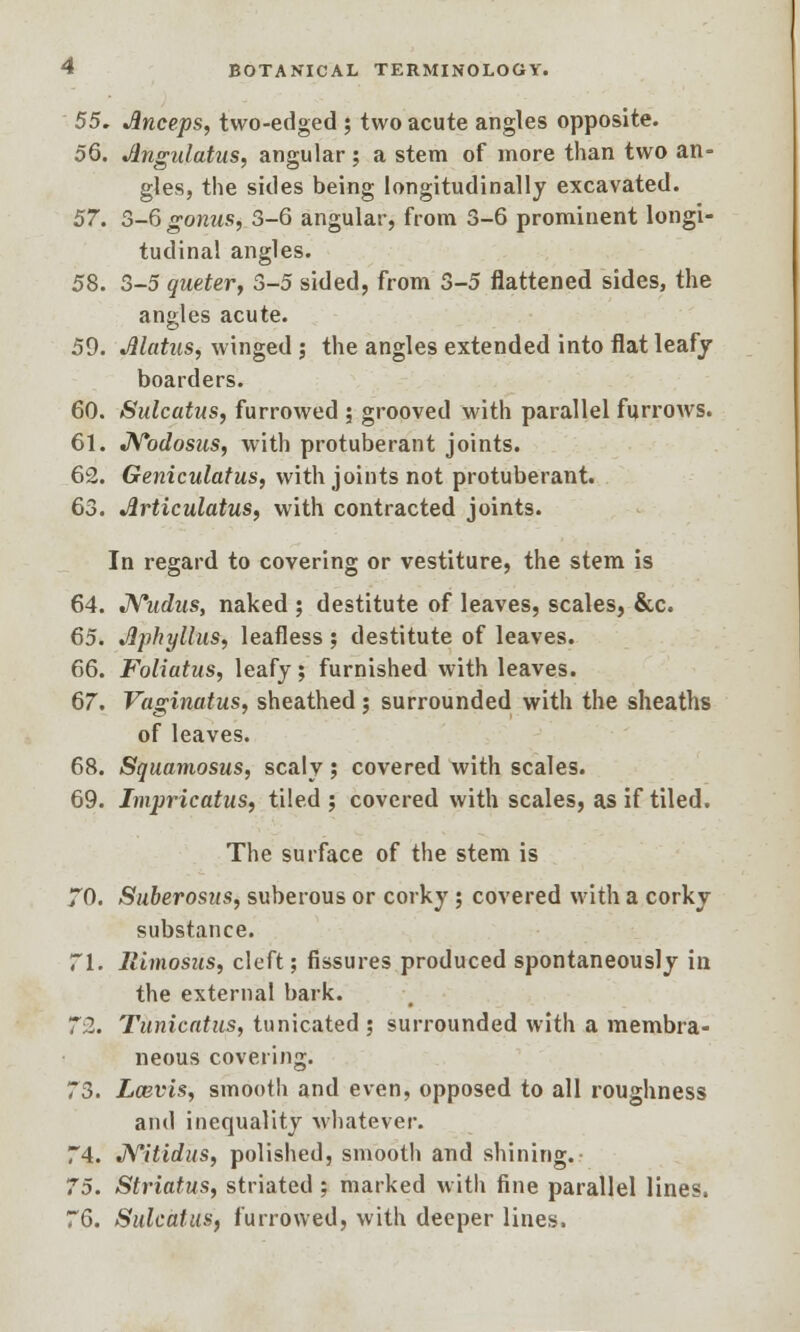 55. Jlnceps, two-edged ; two acute angles opposite. 56. Jlngidatus, angular j a stem of more than two an- gles, the sides being longitudinally excavated. 57. S-6gonus, 3-6 angular, from 3-6 prominent longi- tudinal angles. 58. 3-5 queter, 3-5 sided, from 5-5 flattened sides, the angles acute. 59. Matus, winged ; the angles extended into flat leafy boarders. 60. Sulcutus, furrowed ; grooved with parallel furrows. 61. Nodosus, with protuberant joints. 62. Geniculatus, with joints not protuberant. 63. Articulatus, with contracted joints. In regard to covering or vestiture, the stem is 64. Nudus, naked ; destitute of leaves, scales, &c. 65. Jljihyllus, leafless ; destitute of leaves. 66. Foliatus, leafy; furnished with leaves. 67. Vaginatus, sheathed ; surrounded with the sheaths of leaves. 68. Squamosus, scaly; covered with scales. 69. Impricatus, tiled ; covered with scales, as if tiled. The surface of the stem is 70. Suberosus, suberous or corky; covered with a corky substance. 71. llimosus, cleft; fissures produced spontaneously in the external bark. 72. Tunicatus, tunicated ; surrounded with a membra- neous covering. 73. Lcevis, smooth and even, opposed to all roughness and inequality whatever. 74. Nitidus, polished, smooth and shining. 75. Striatus, striated ; marked with fine parallel lines. 76. Sulcatum, furrowed, with deeper lines.
