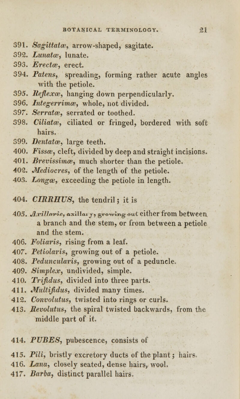 391. Sagittatce, arrow-shaped, sagitate. 392. Lunatce, lunate. 393. Erectaz, erect. 394. Patens, spreading, forming rather acute angles with the petiole. 395. Reflexce, hanging down perpendicularly. 396. Integer rimm, whole, not divided. 397. Serratce, serrated or toothed. 398. Ciliatce, ciliated or fringed, bordered with soft hairs. 399. Dentatce, large teeth. 400. Fissce, cleft, divided by deep and straight incisions. 401. Brevissimce, much shorter than the petiole. 402. Mediocres, of the length of the petiole. 403. Longce, exceeding the petiole in length. 404. CIRRHUS, the tendril ; it is 405. Jl^illnvie, axiliai j, growing out either from between a branch and the stem, or from between a petiole and the stem. 406. Foliaris, rising from a leaf. 407. Petiolaris, growing out of a petiole. 408. Feduncularis, growing out of a peduncle. 409. Simplex, undivided, simple. 410. Trifidus, divided into three parts. 411. Multifidus, divided many times. 412. Convolutus, twisted into rings or curls. 413. Revolutus, the spiral twisted backwards, from the middle part of it. 414. PUBES, pubescence, consists of 415. Pili, bristly excretory ducts of the plant j hairs. 416. Lana, closely seated, dense hairs, wool. 417. Barba, distinct parallel hairs.