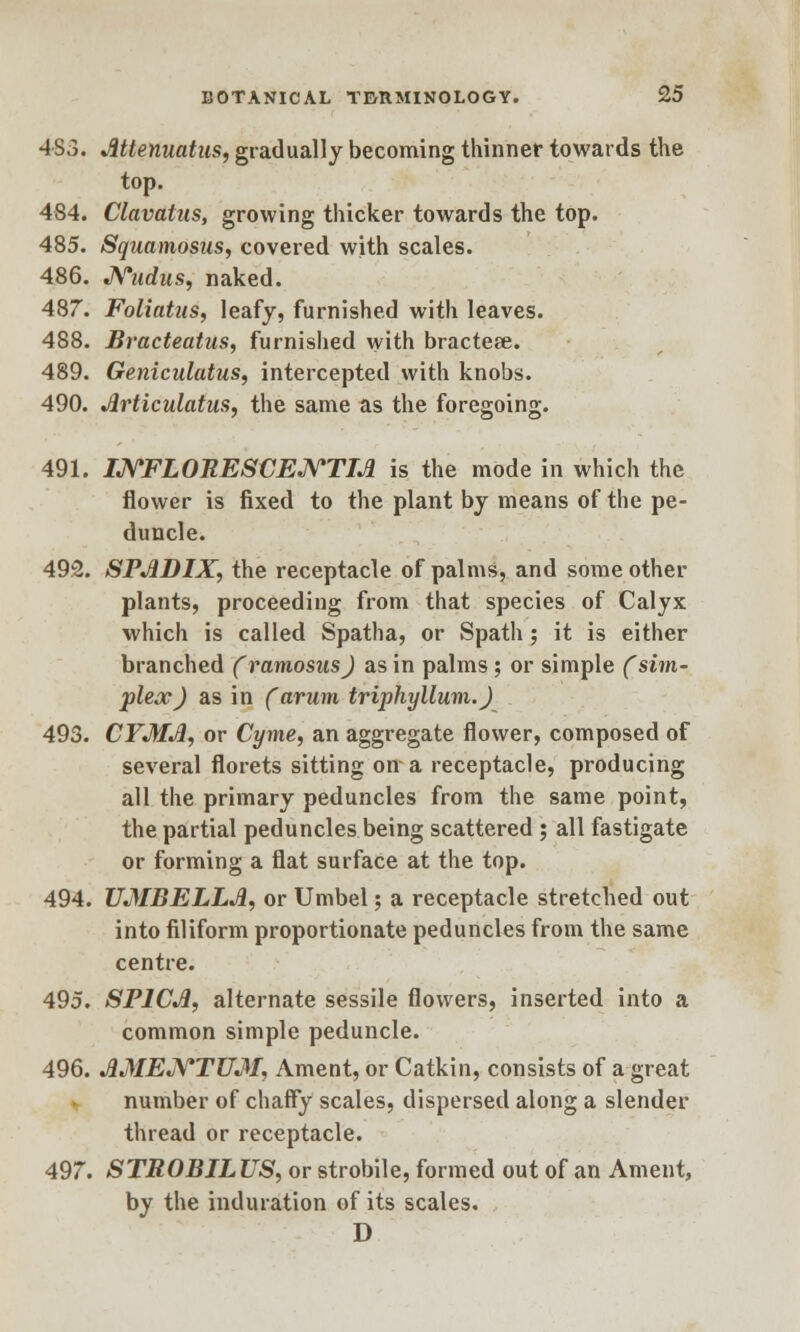 483. Mtenuatus, gradually becoming thinner towards the top. 484. Clavatus, growing thicker towards the top. 485. Squamosus, covered with scales. 486. JVudus, naked. 487. Foliatus, leafy, furnished with leaves. 488. Bracteatus, furnished with bractese. 489. Geniculatus, intercepted with knobs. 490. Jlrticulatus, the same as the foregoing. 491. INFLORESCENTIA is the mode in which the flower is fixed to the plant by means of the pe- duncle. 492. SPJIDIX, the receptacle of palms, and some other plants, proceeding from that species of Calyx which is called Spatha, or Spath ; it is either branched (ramosusj as in palms; or simple (sim- plex) as in (arum triphyllum.J 493. CFMA, or Cyme, an aggregate flower, composed of several florets sitting on a receptacle, producing all the primary peduncles from the same point, the partial peduncles being scattered ; all fastigate or forming a flat surface at the top. 494. UMBELLA, or Umbel; a receptacle stretched out into filiform proportionate peduncles from the same centre. 495. SP1CA, alternate sessile flowers, inserted into a common simple peduncle. 496. AMENTUM, Ament, or Catkin, consists of a great number of chaffy scales, dispersed along a slender thread or receptacle. 497. STROBILUS, or strobile, formed out of an Ament, by the induration of its scales. D