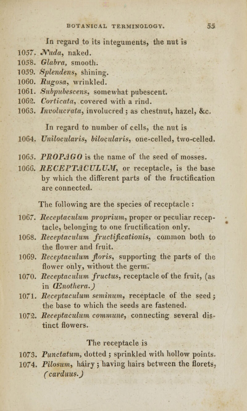 In regard to its integuments, the nut is 1057. Nuda, naked. 1058. Glabra, smooth. 1059. Splendens, shining. 1060. Rugosa, wrinkled. 1061. Subpubescens, somewhat pubescent. 1062. Corticata, covered with a rind. 1063. Involucrata, involucred ; as chestnut, hazel, &c. In regard to number of cells, the nut is 1064. UnilocidariS) bilocularis, one-celled, two-celled. 1065. PROPAGO is the name of the seed of mosses. 1066. RECEPTACULUM, or receptacle, is the base by which the different parts of the fructification are connected. The following are the species of receptacle : 1067. Receptaculum proprium, proper or peculiar recep- tacle, belonging to one fructification only. 1068. Receptaculum fructificationis, common both to the flower and fruit. 1069. Receptaculum floris, supporting the parts of the flower only, without the germ7 1070. Receptaculum fructus, receptacle of the fruit, (as in (Enothera.) 1071. Receptaculum seminum, receptacle of the seed j the base to which the seeds are fastened. 1072. Receptaculum commune, connecting several dis- tinct flowers. The receptacle is 1073. Punctatum, dotted ; sprinkled with hollow points. 1074. Pilosum, hairy ; having hairs between the florets, (carduus.J