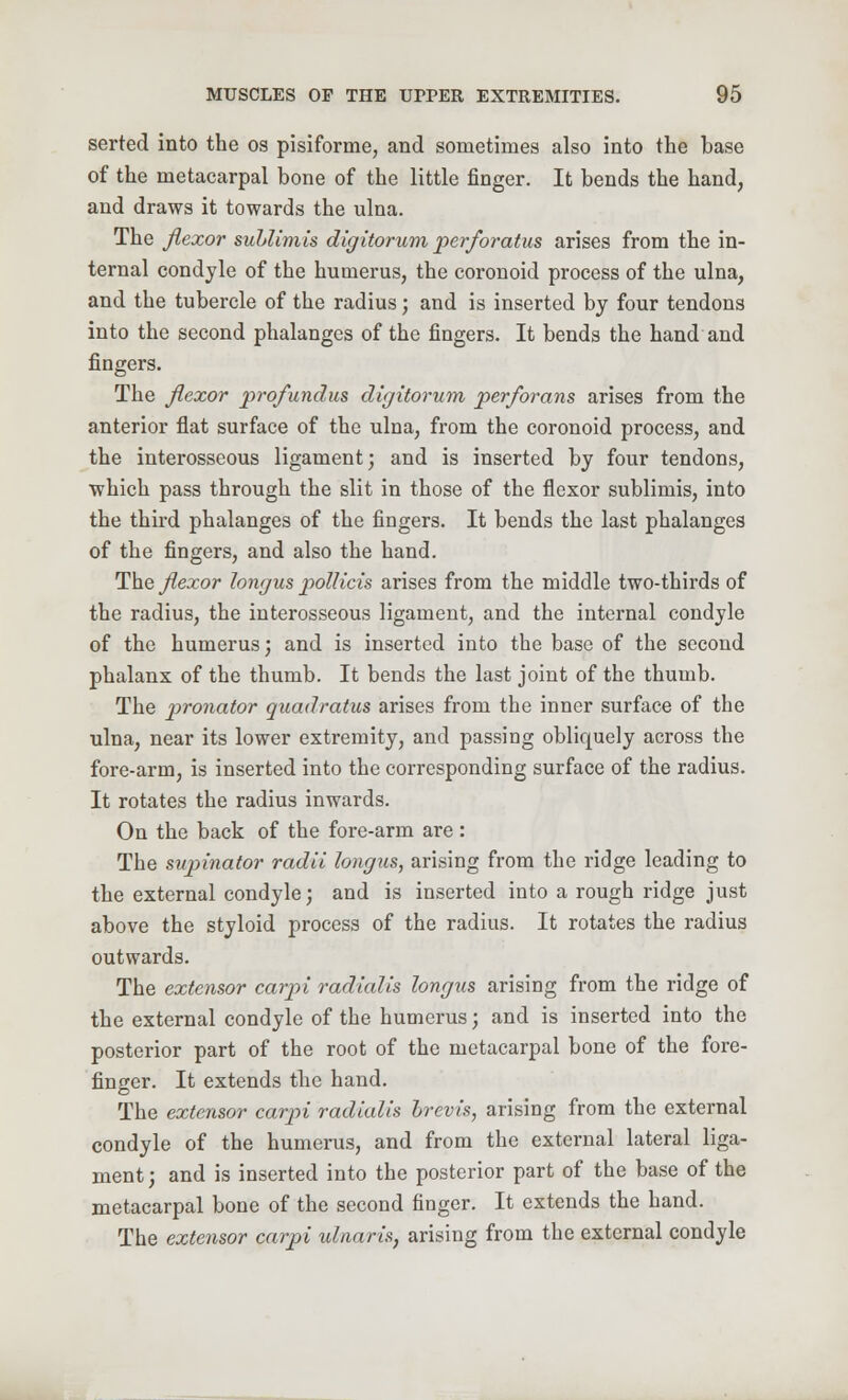 serted into the os pisiforme, and sometimes also into the base of the metacarpal bone of the little finger. It bends the hand, and draws it towards the ulna. The flexor suhlimis digitorum, per for atus arises from the in- ternal condyle of the humerus, the coronoid process of the ulna, and the tubercle of the radius; and is inserted by four tendons into the second phalanges of the fingers. It bends the hand and fingers. The flexor profundus digitorum perforans arises from the anterior flat surface of the ulna, from the coronoid process, and the interosseous ligament; and is inserted by four tendons, which pass through the slit in those of the flexor sublimis, into the third phalanges of the fingers. It bends the last phalanges of the fingers, and also the hand. The flexor longus pollicis arises from the middle two-thirds of the radius, the interosseous ligament, and the internal condyle of the humerus; and is inserted into the base of the second phalanx of the thumb. It bends the last joint of the thumb. The pronator guadratus arises from the inner surface of the ulna, near its lower extremity, and passing obliquely across the fore-arm, is inserted into the corresponding surface of the radius. It rotates the radius inwards. On the back of the fore-arm are: The supinator radii longus, arising from the ridge leading to the external condyle; and is inserted into a rough ridge just above the styloid process of the radius. It rotates the radius outwards. The extensor carpi radialis longus arising from the ridge of the external condyle of the humerus; and is inserted into the posterior part of the root of the metacarpal bone of the fore- finger. It extends the hand. The extensor carpi radialis brevis, arising from the external condyle of the humerus, and from the external lateral liga- ment ; and is inserted into the posterior part of the base of the metacarpal bone of the second finger. It extends the hand. The extensor carpi ulnaris, arising from the external condyle